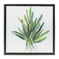 thumbnail image 1 of Stupell Industries Contemporary Plant Leaf Sprigs Black Floating Frame Canvas Art, 18 x 18, by Sally Swatland, 1 of 8