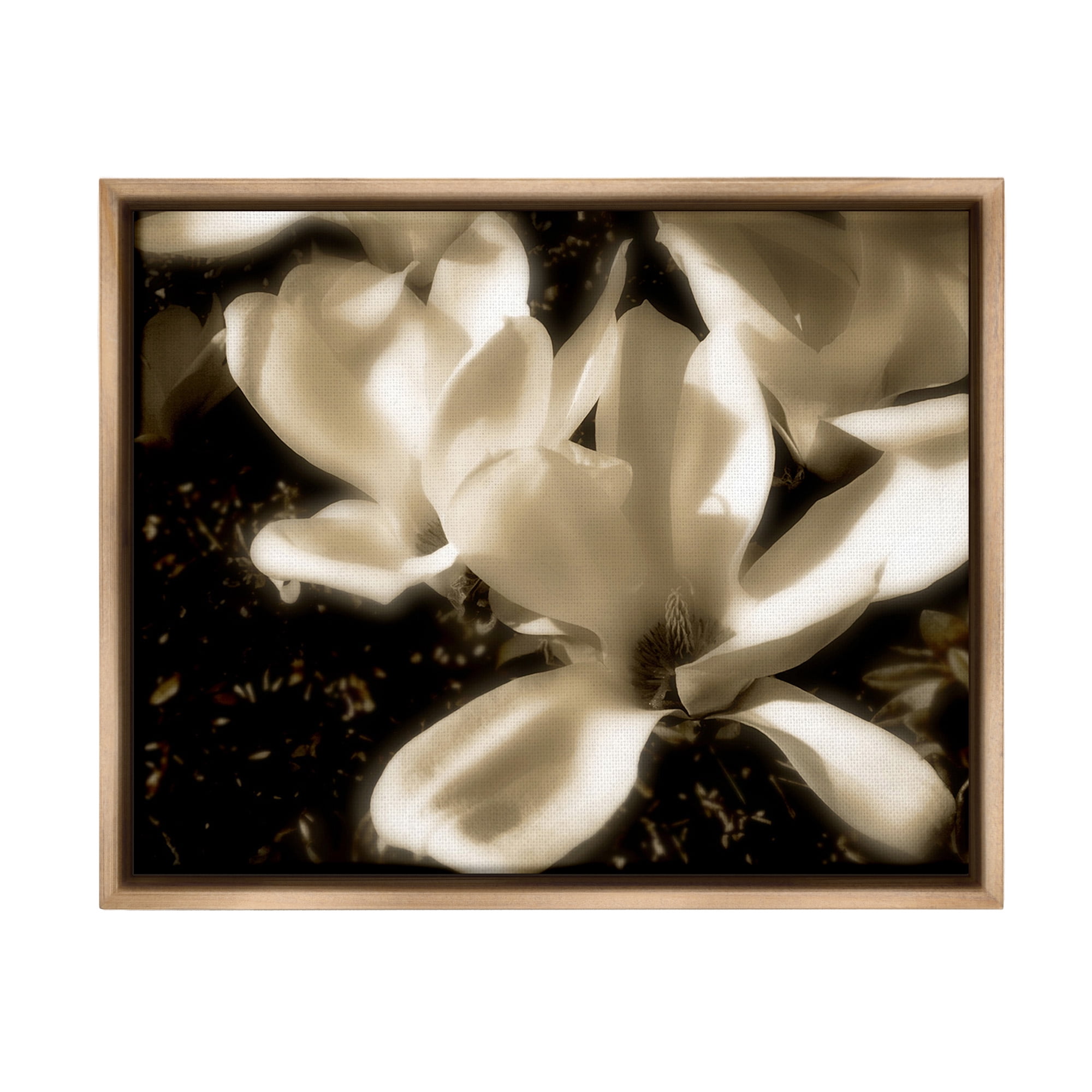 Stupell Industries Plant Petals in Nature Botanical & Floral Photography Brown Floater Framed Canvas Art Print Wall Art, 21 x 17