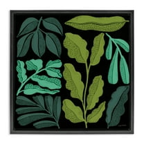 Stupell Industries Plant Sprig Collage Plants & Flowers Painting Black Floater Framed Canvas Art Print Wall Art, 18 x 18