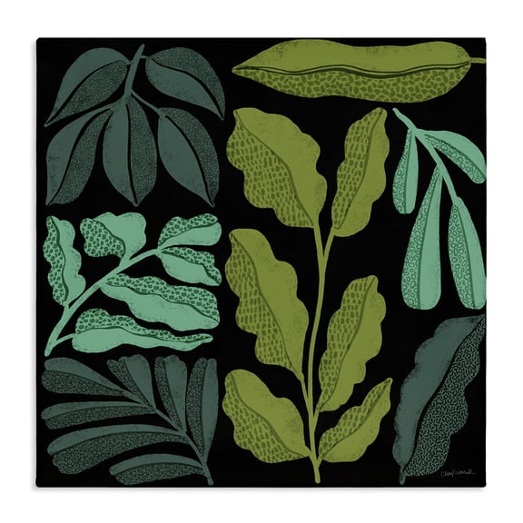 Stupell Industries Plant Sprig Collage Plants & Flowers Painting Wrapped Canvas Art Print Wall Art, 24 x 24