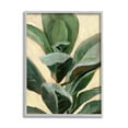 thumbnail image 1 of Stupell Industries Plant in Pot Study Curved Green Branches Grey Framed, 11 x 14, Design by Annie Warren, 1 of 7