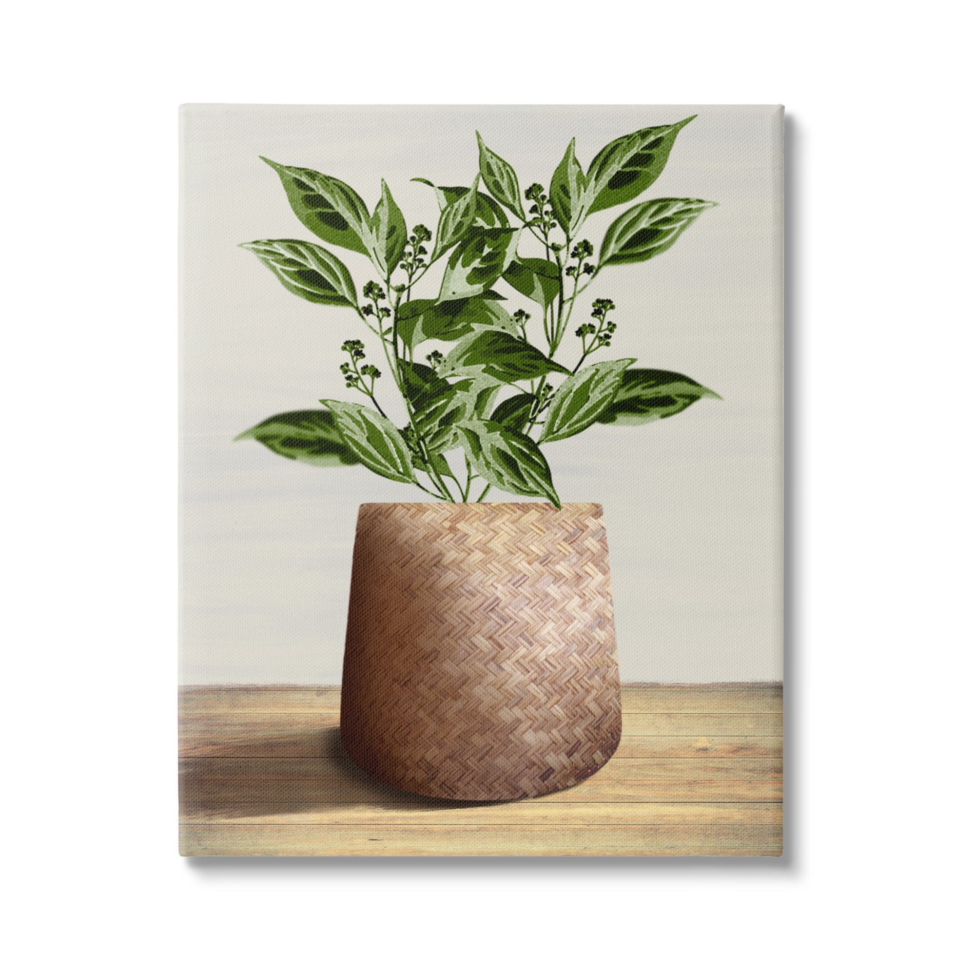 Stupell Industries Plant in Woven Planter Botanical & Floral Painting Gallery Wrapped Canvas Art Print Wall Art, 30 x 40