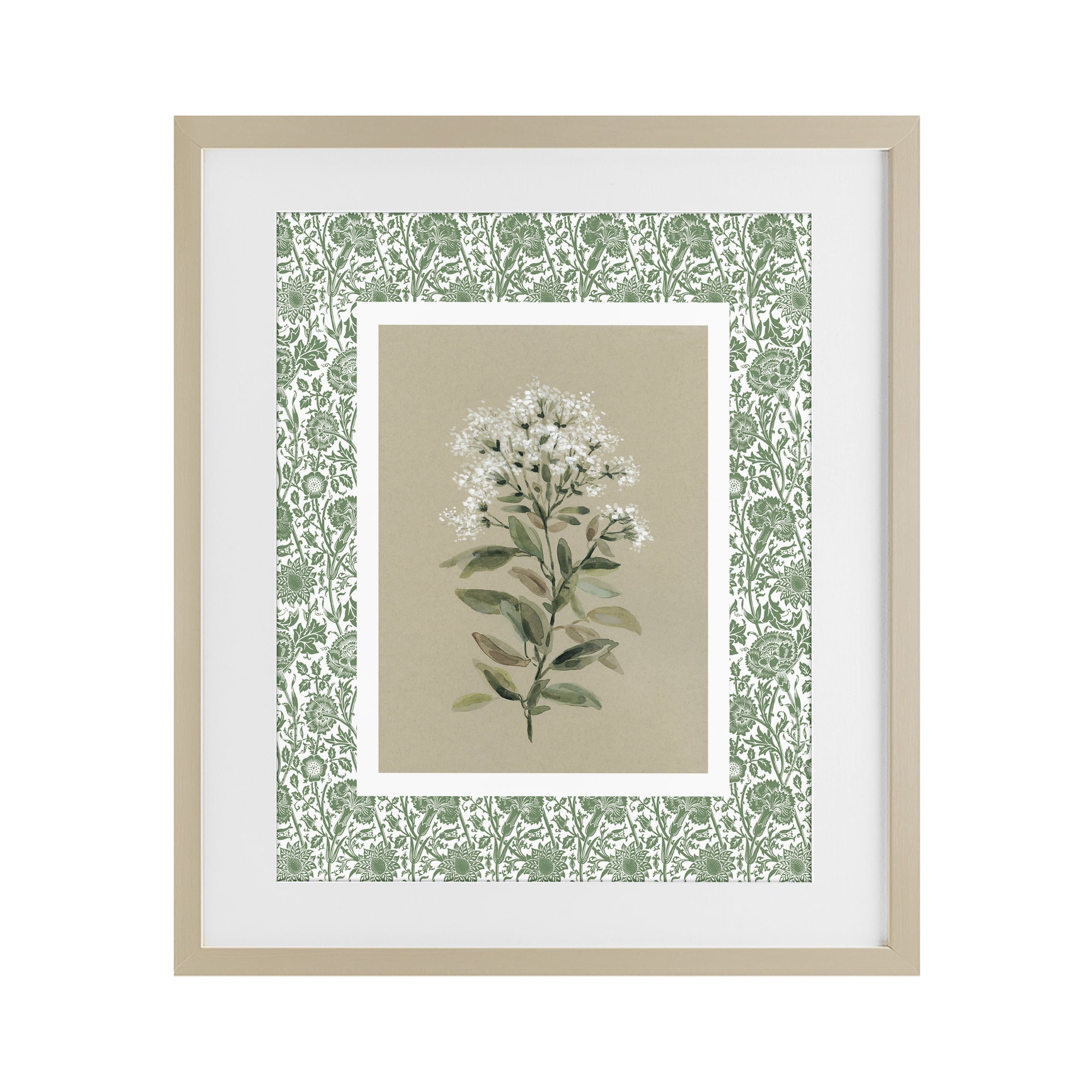 Stupell Industries Plant on Green Botanicals Birch Framed Print Under Glass, design by Carol Robinson