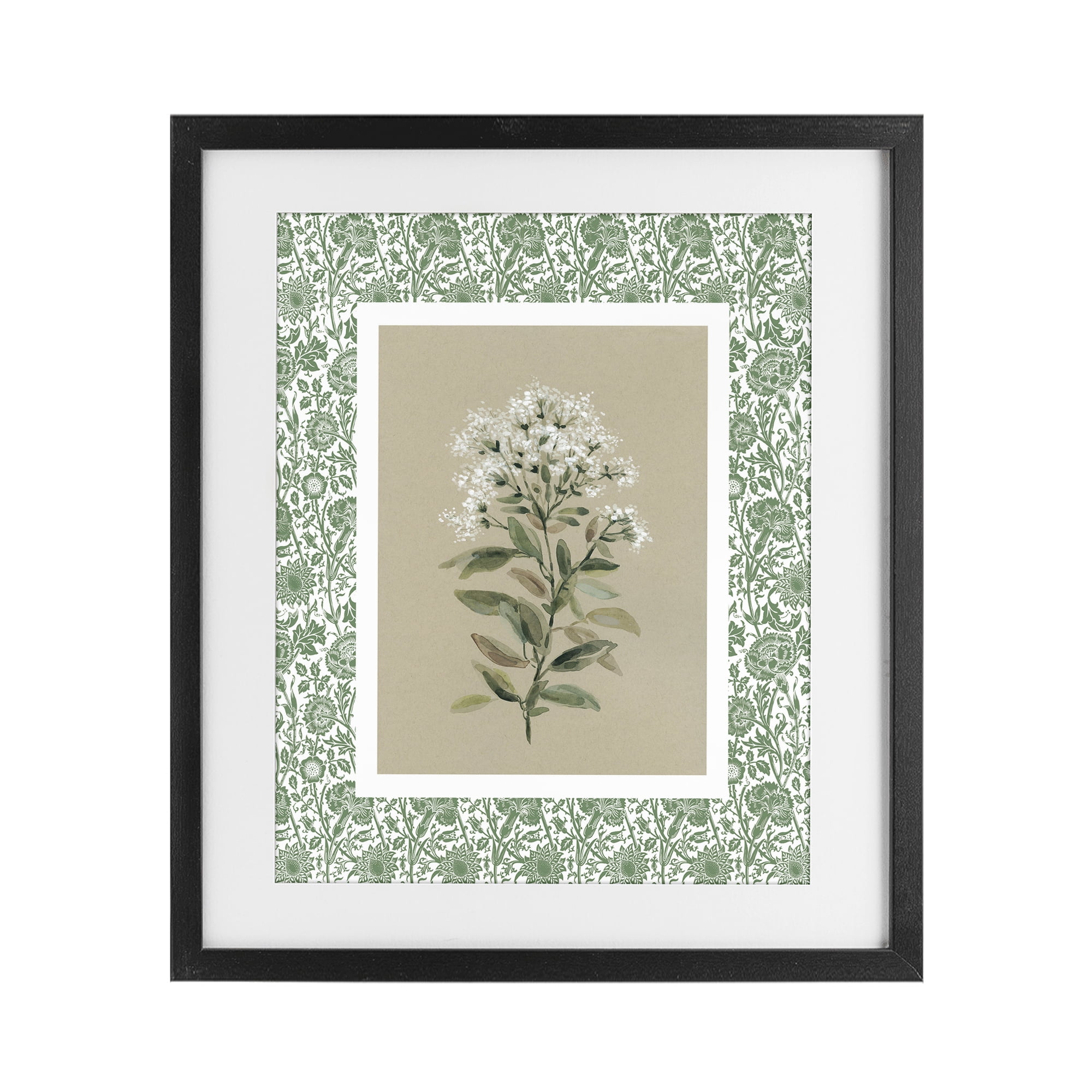 Stupell Industries Plant on Green Botanicals Black Framed Print Under Glass, design by Carol Robinson