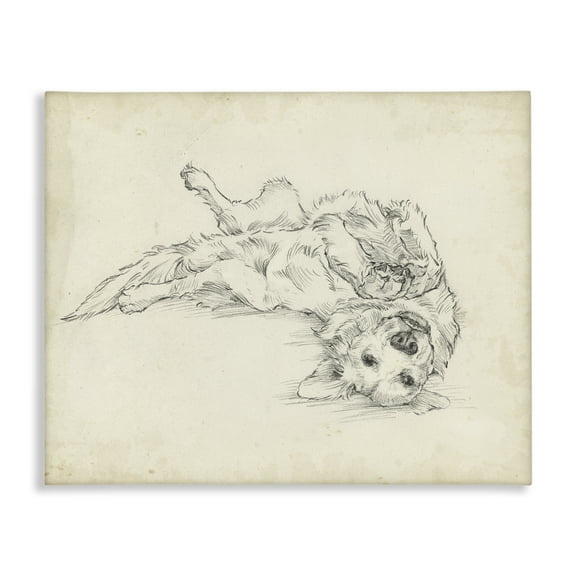Stupell Industries Playful Pup Sketch Animals Drawing Wrapped Canvas Canvas Art Print Wall Art, 40 x 30