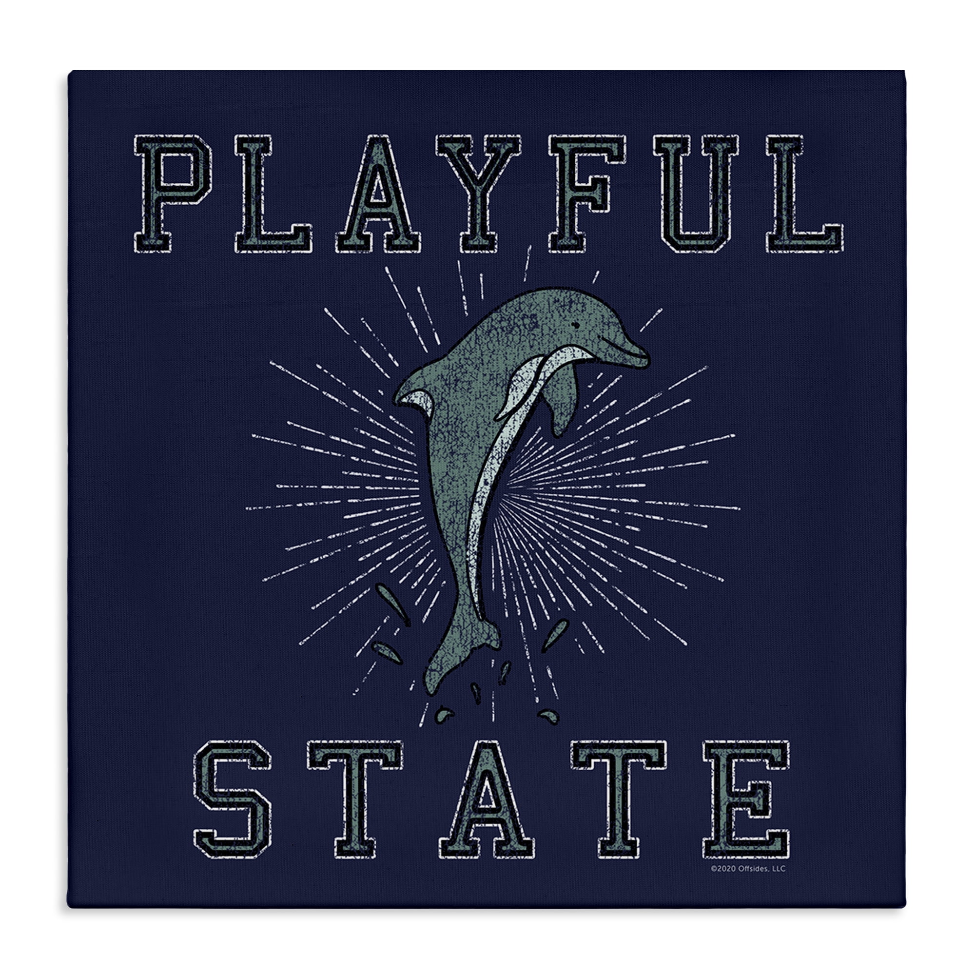 Stupell Industries Playful State Dolphin Novelty & Humor Painting Wrapped Canvas Art Print Wall Art, 24 x 24
