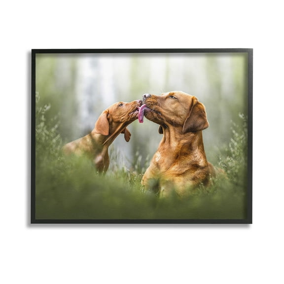 Stupell Industries Playing Puppies in Grass Animals & Insects Painting Black Framed Art Print Wall Art, 14 x 11