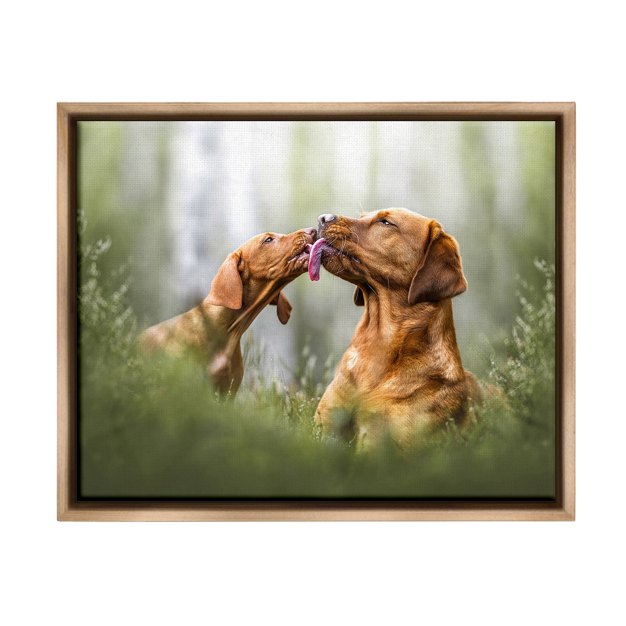 Stupell Industries Playing Puppies in Grass Animals & Insects Painting Brown Floater Framed Canvas Art Print Wall Art, 31 x 25