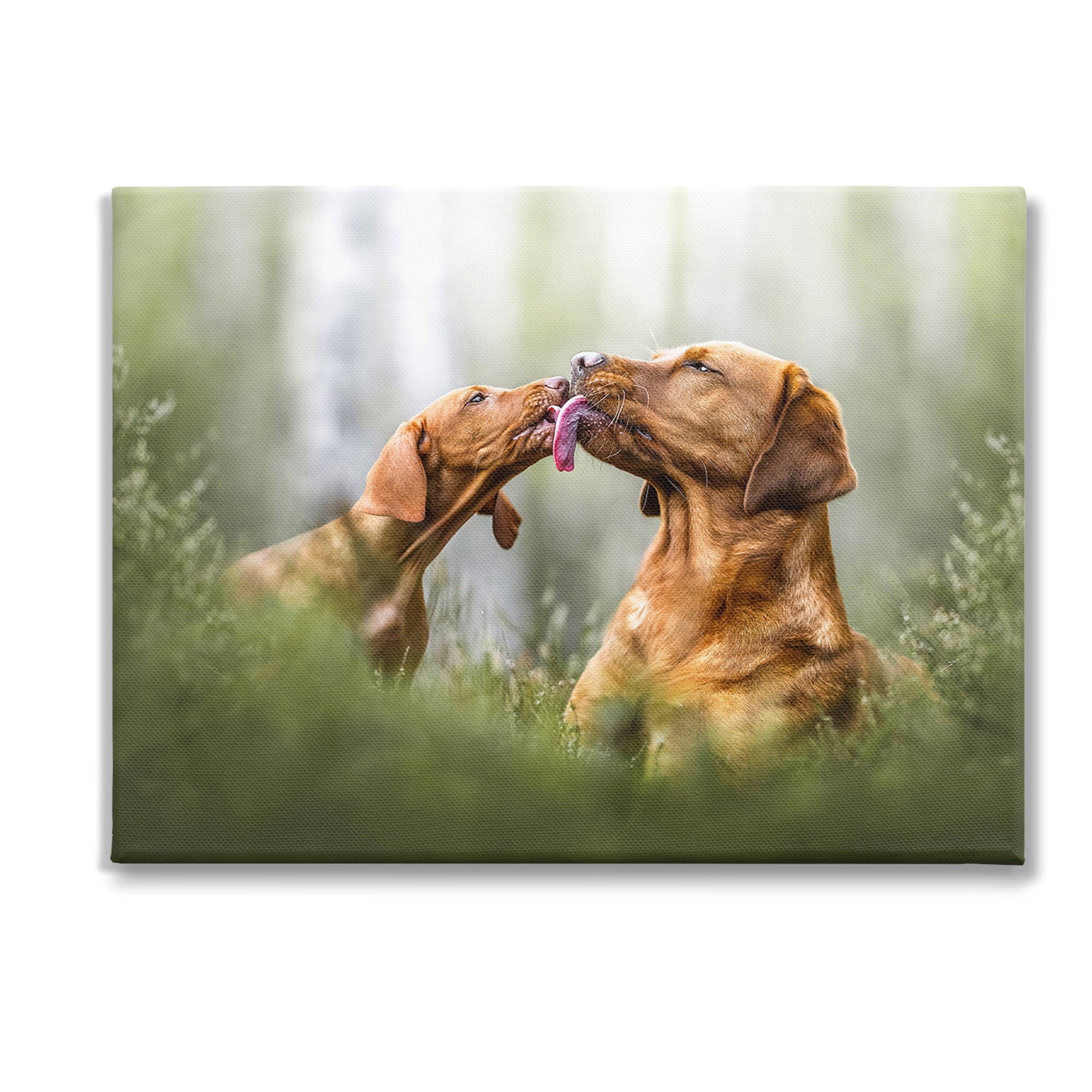 Stupell Industries Playing Puppies in Grass Animals & Insects Painting Gallery Wrapped Canvas Art Print Wall Art, 40 x 30