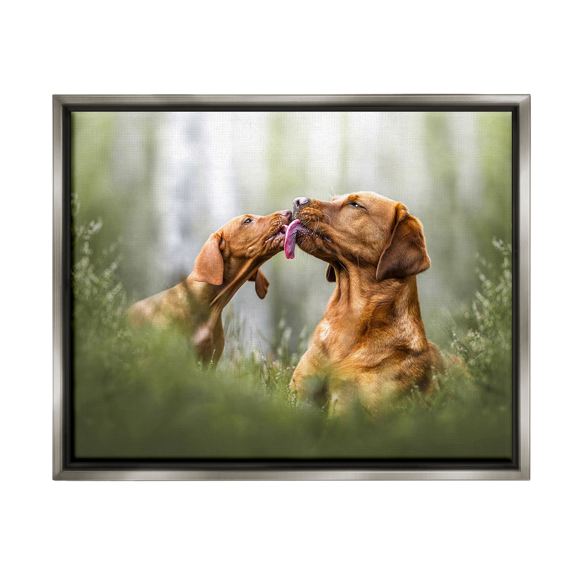 Stupell Industries Playing Puppies in Grass Animals & Insects Painting Gray Floater Framed Canvas Art Print Wall Art, 31 x 25