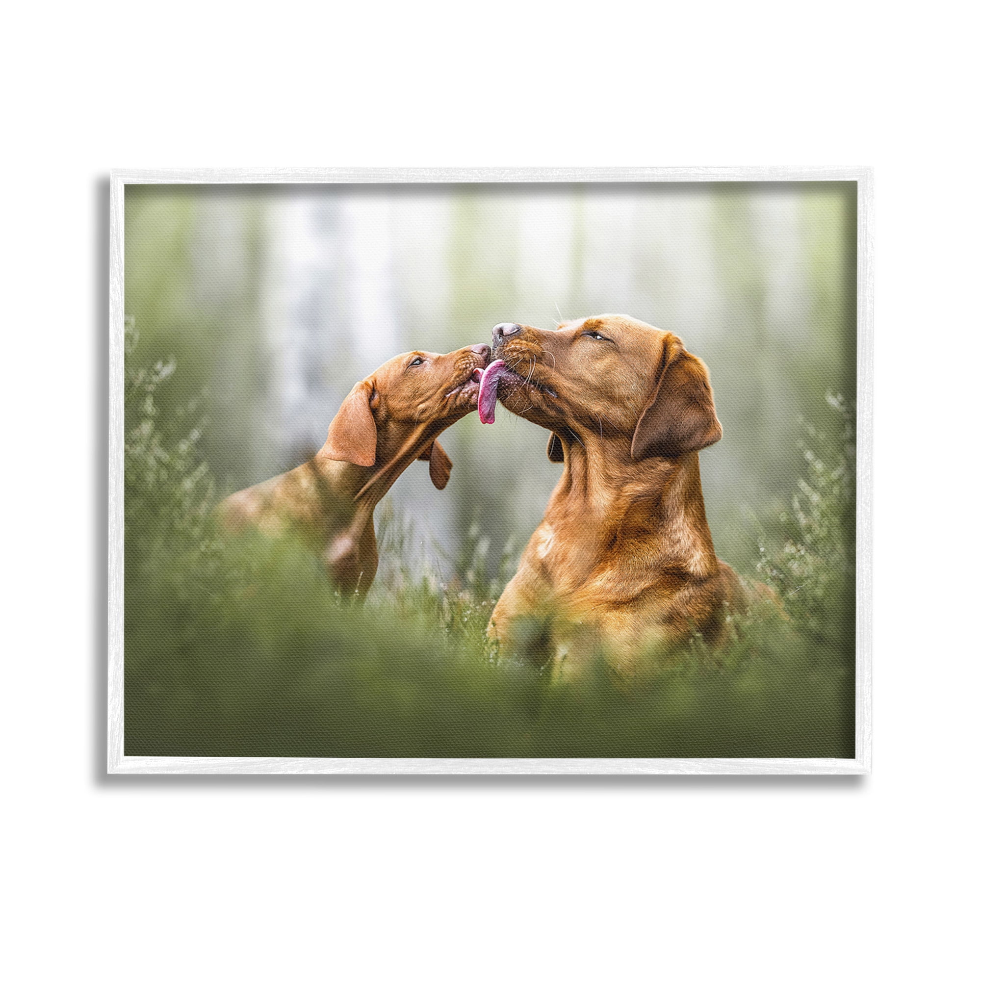 Stupell Industries Playing Puppies in Grass Animals & Insects Painting White Framed Art Print Wall Art, 14 x 11