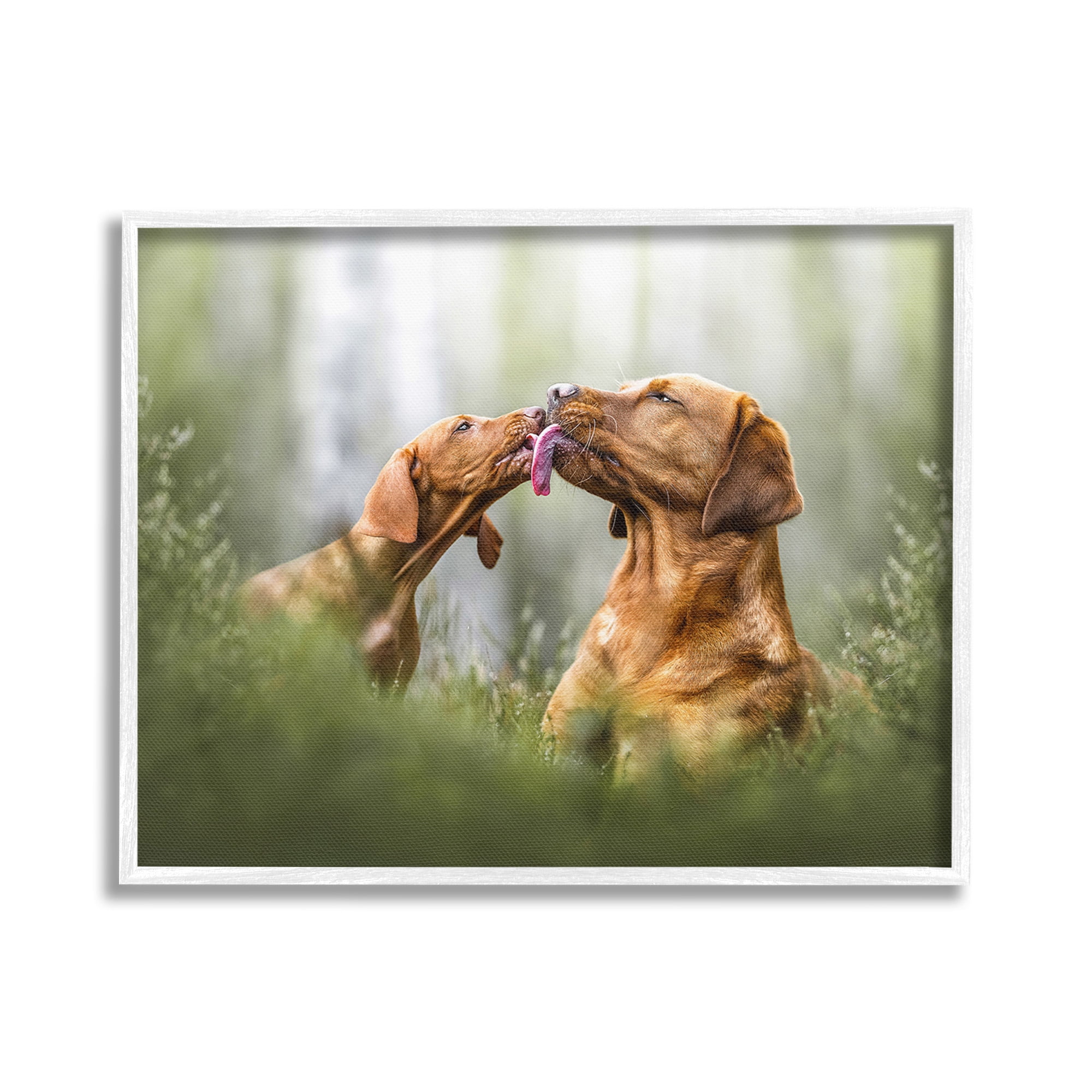 Stupell Industries Playing Puppies in Grass Animals & Insects Painting White Framed Art Print Wall Art, 30 x 24