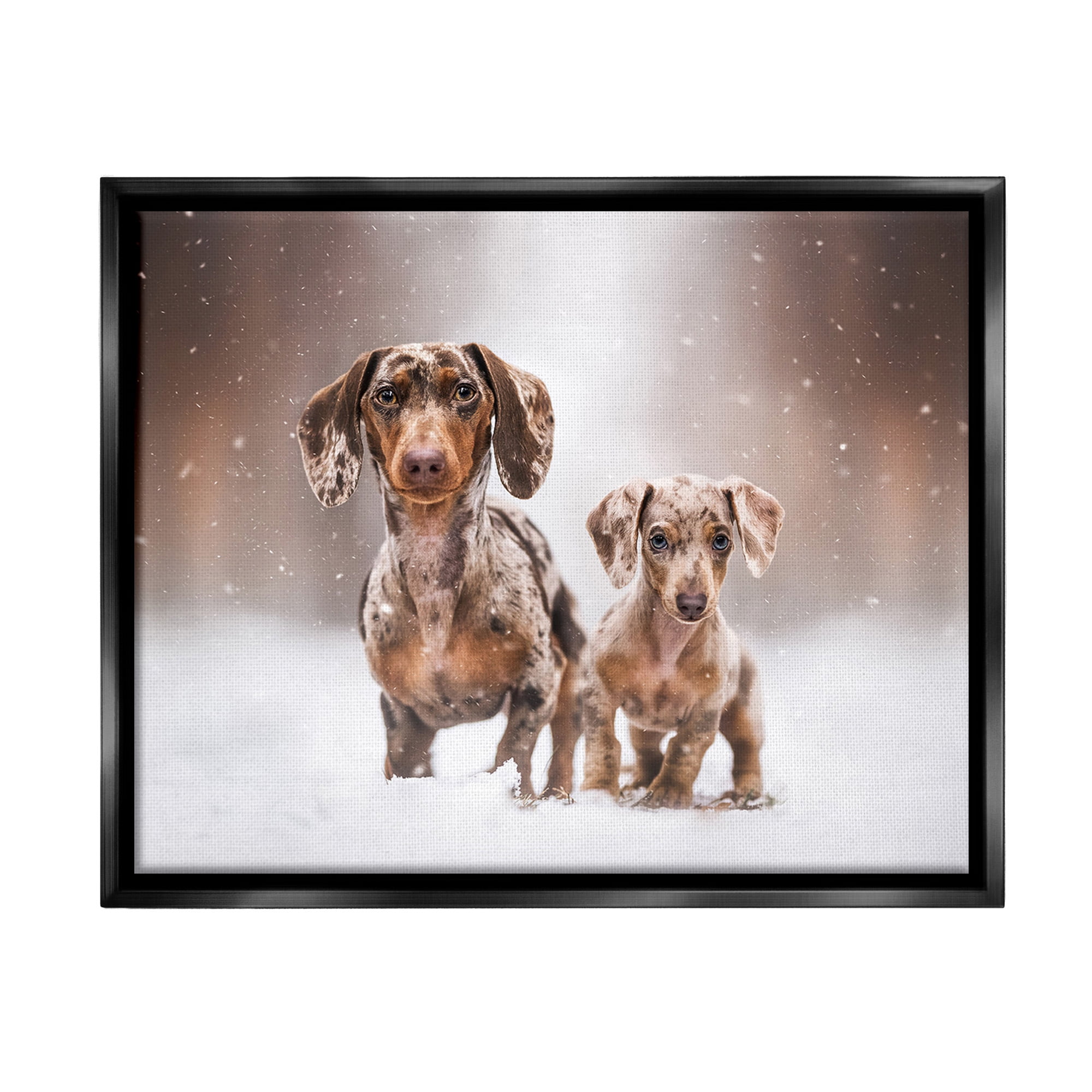 Stupell Industries Playing Puppies in Snow Animals & Insects Painting Black Floater Framed Canvas Art Print Wall Art, 21 x 17
