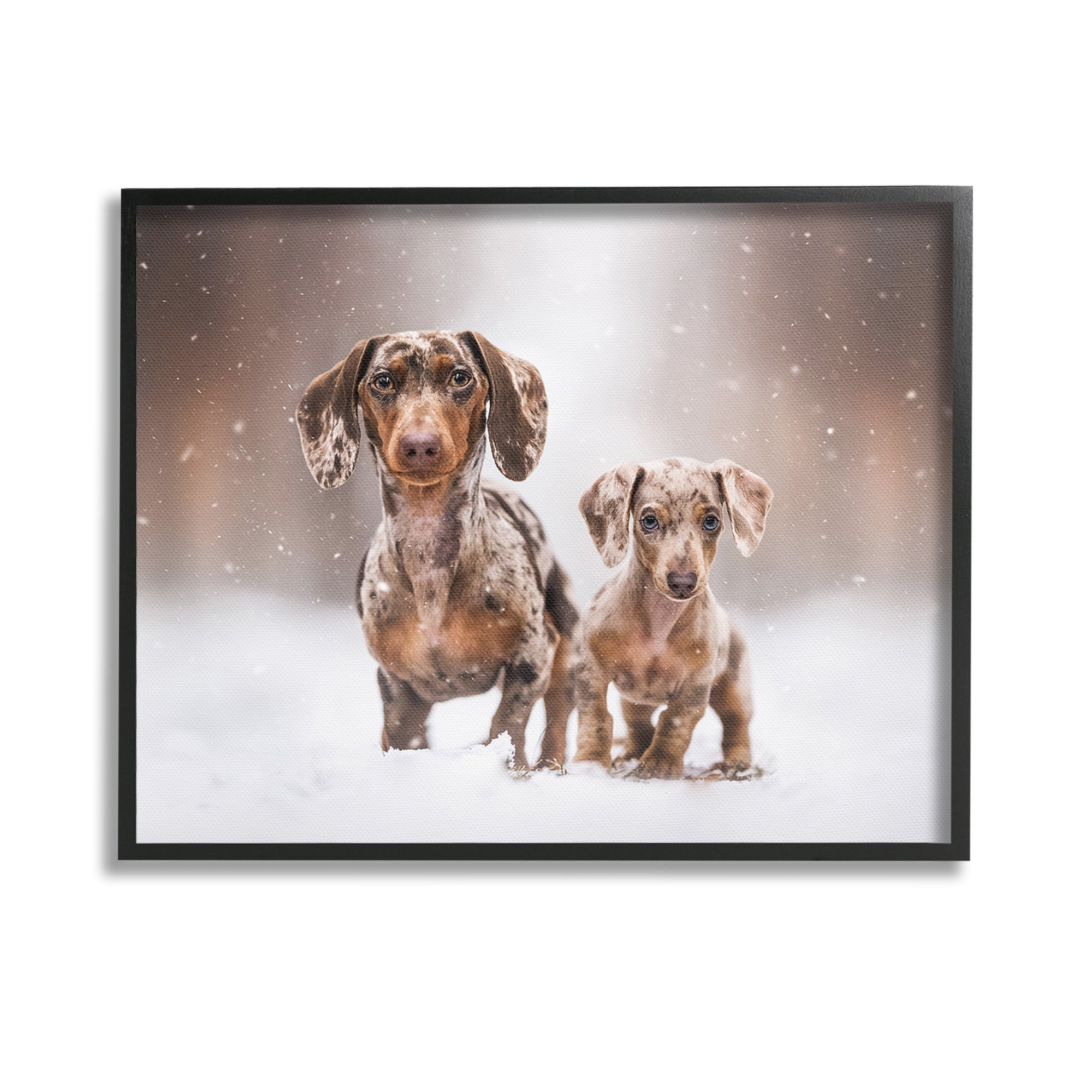 Stupell Industries Playing Puppies in Snow Animals & Insects Painting Black Framed Art Print Wall Art, 14 x 11