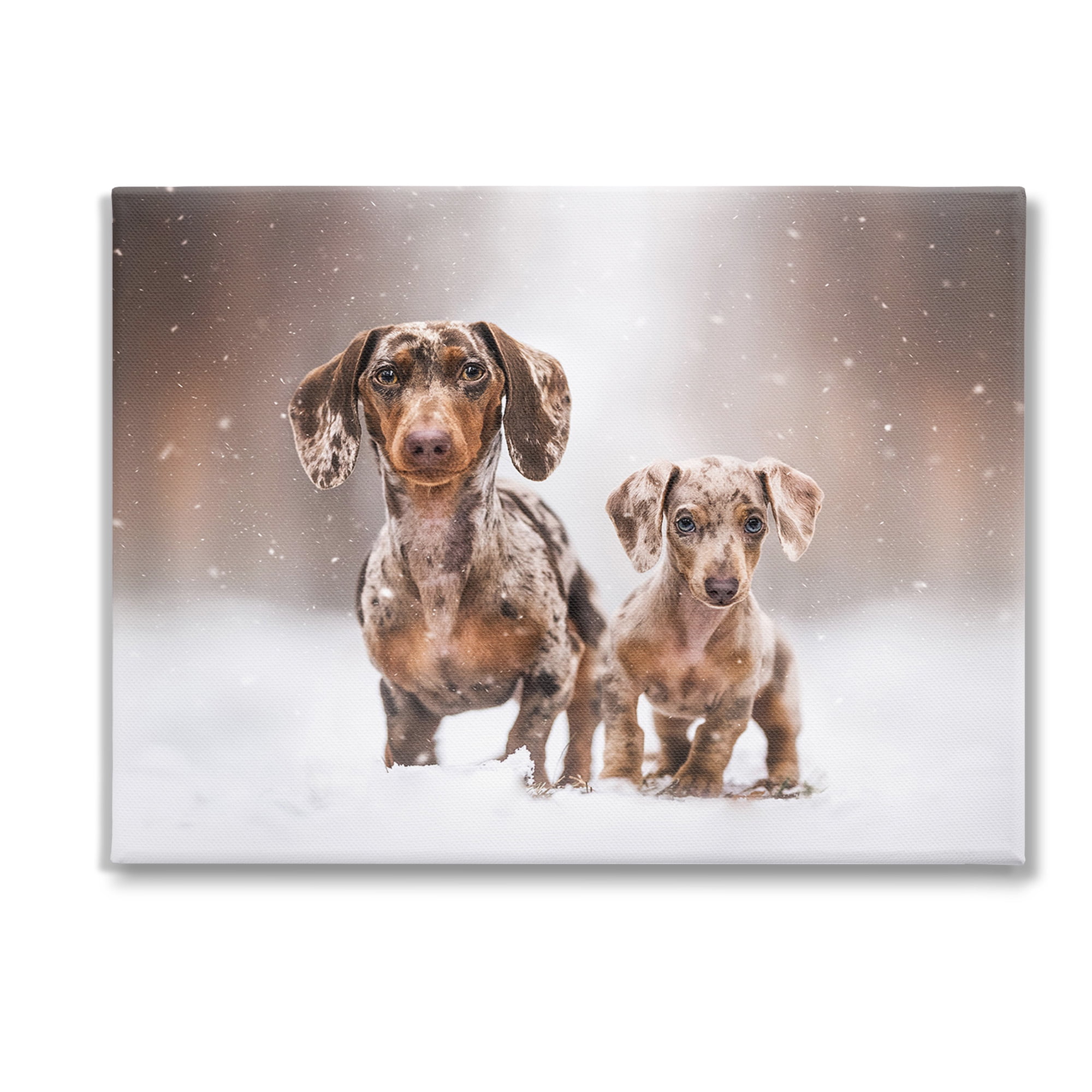 Stupell Industries Playing Puppies in Snow Animals & Insects Painting Gallery Wrapped Canvas Art Print Wall Art, 40 x 30