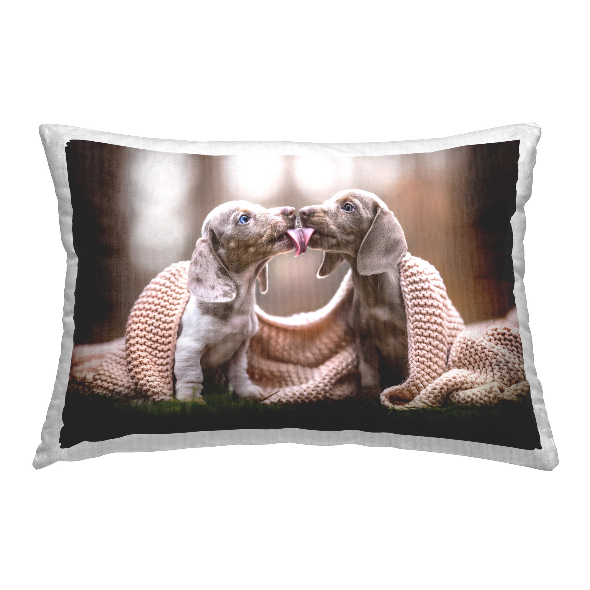 Stupell Industries Playing Puppies with Scarf Decorative Printed Throw Pillow Design by Natalie Grosse