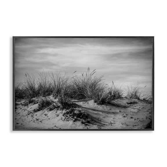 Stupell Industries Point Reyes Beach Dunes Landscape & Nature Photography Black Framed Art Print Wall Art, 30 x 20