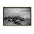 thumbnail image 1 of Stupell Industries Point Reyes Beach Dunes Landscape & Nature Photography Brown Floater Framed Canvas Art Print Wall Art, 25 x 17, 1 of 10