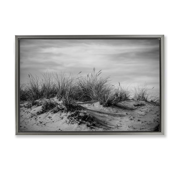 Stupell Industries Point Reyes Beach Dunes Landscape & Nature Photography Gray Floater Framed Canvas Art Print Wall Art, 31 x 21
