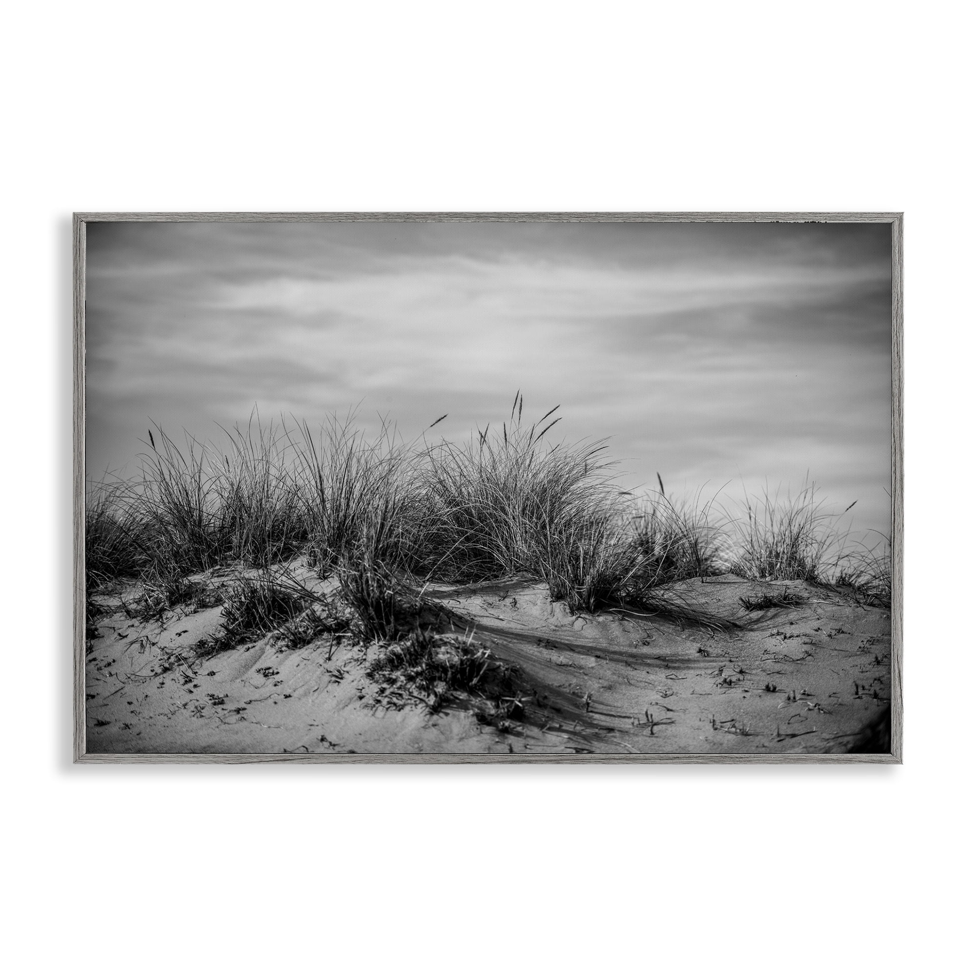 Stupell Industries Point Reyes Beach Dunes Landscape & Nature Photography Gray Framed Art Print Wall Art, 30 x 20