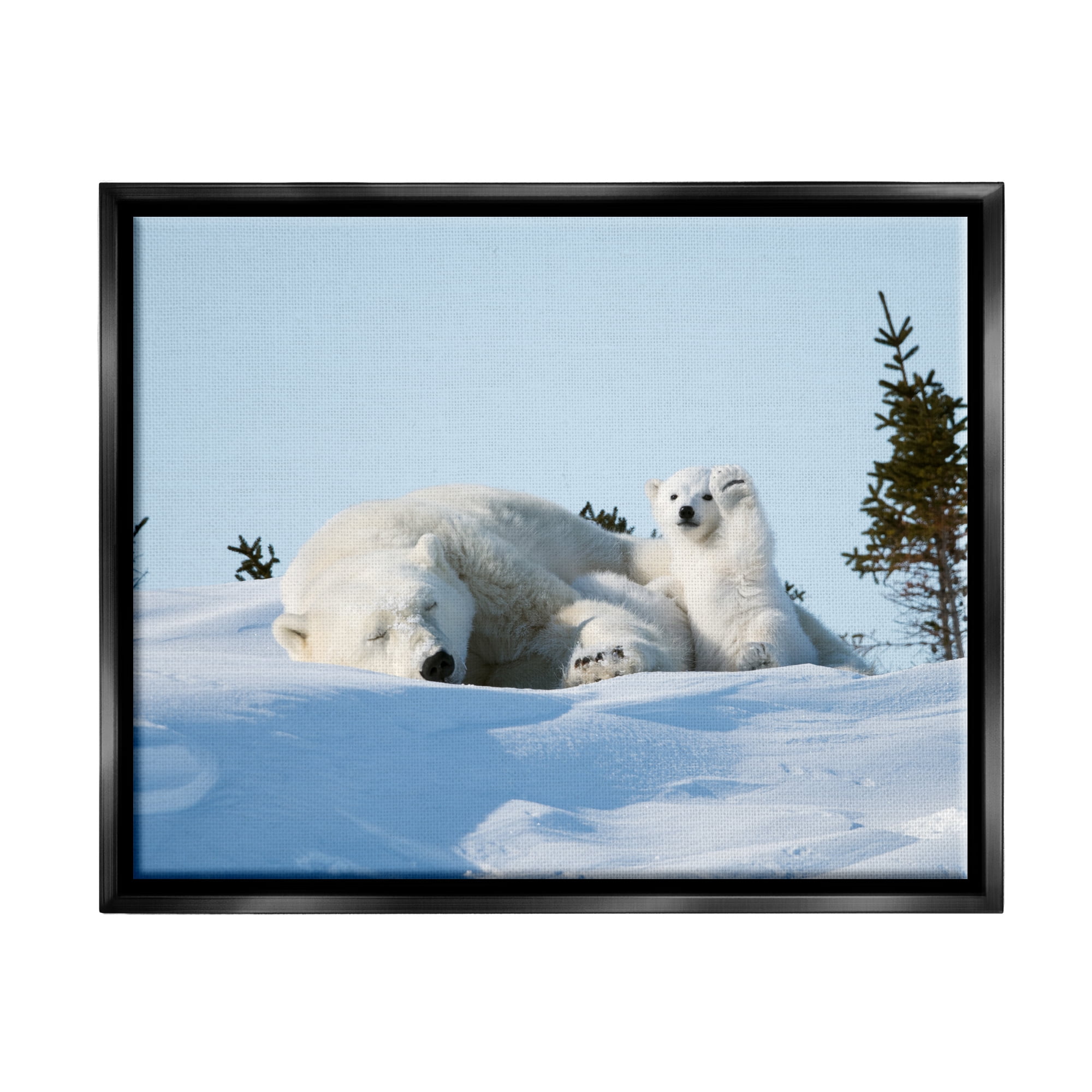 Stupell Industries Polar Bear Cub with Mom Animals & Insects Photography Black Floater Framed Canvas Art Print Wall Art, 21 x 17