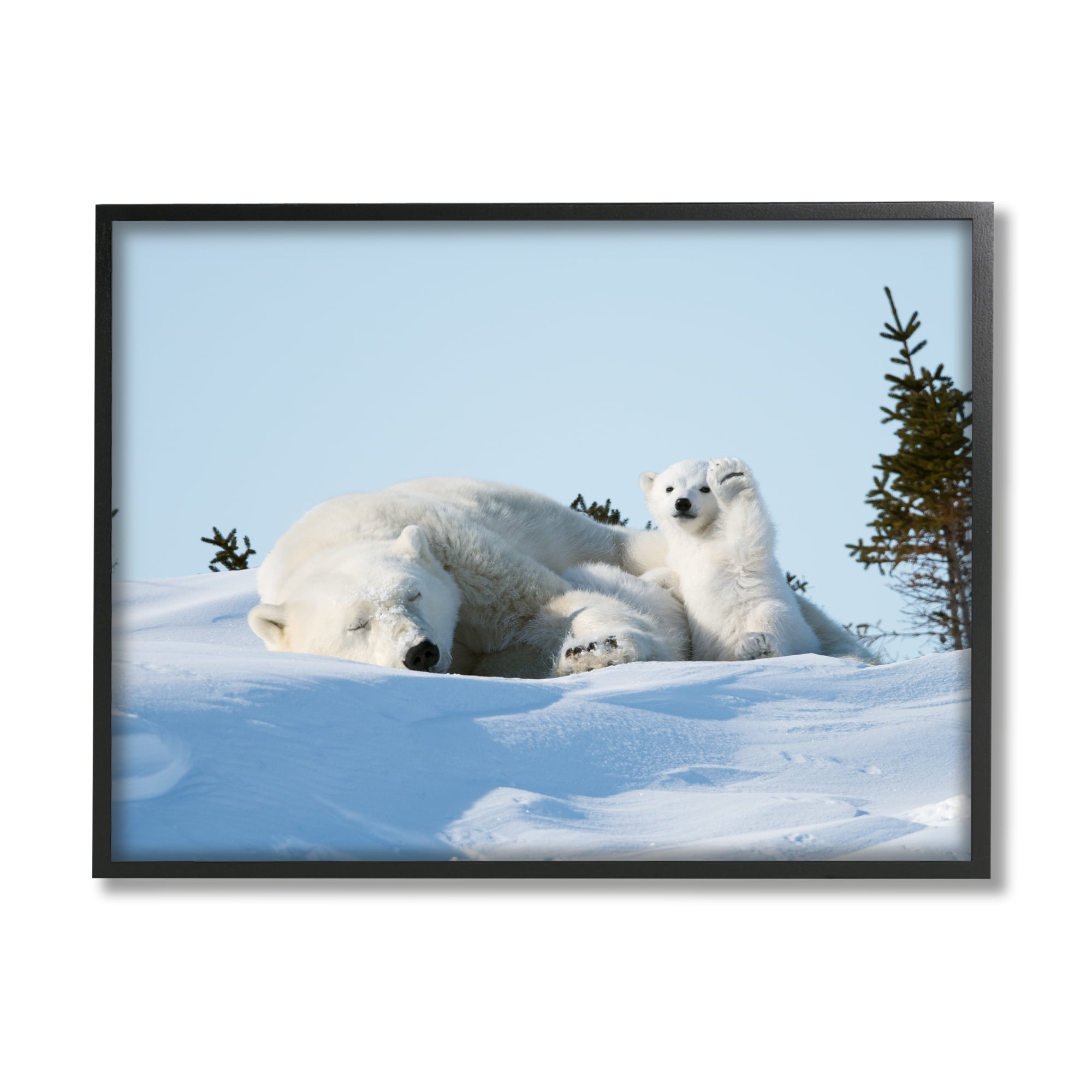 Stupell Industries Polar Bear Cub with Mom Animals & Insects Photography Black Framed Art Print Wall Art, 14 x 11
