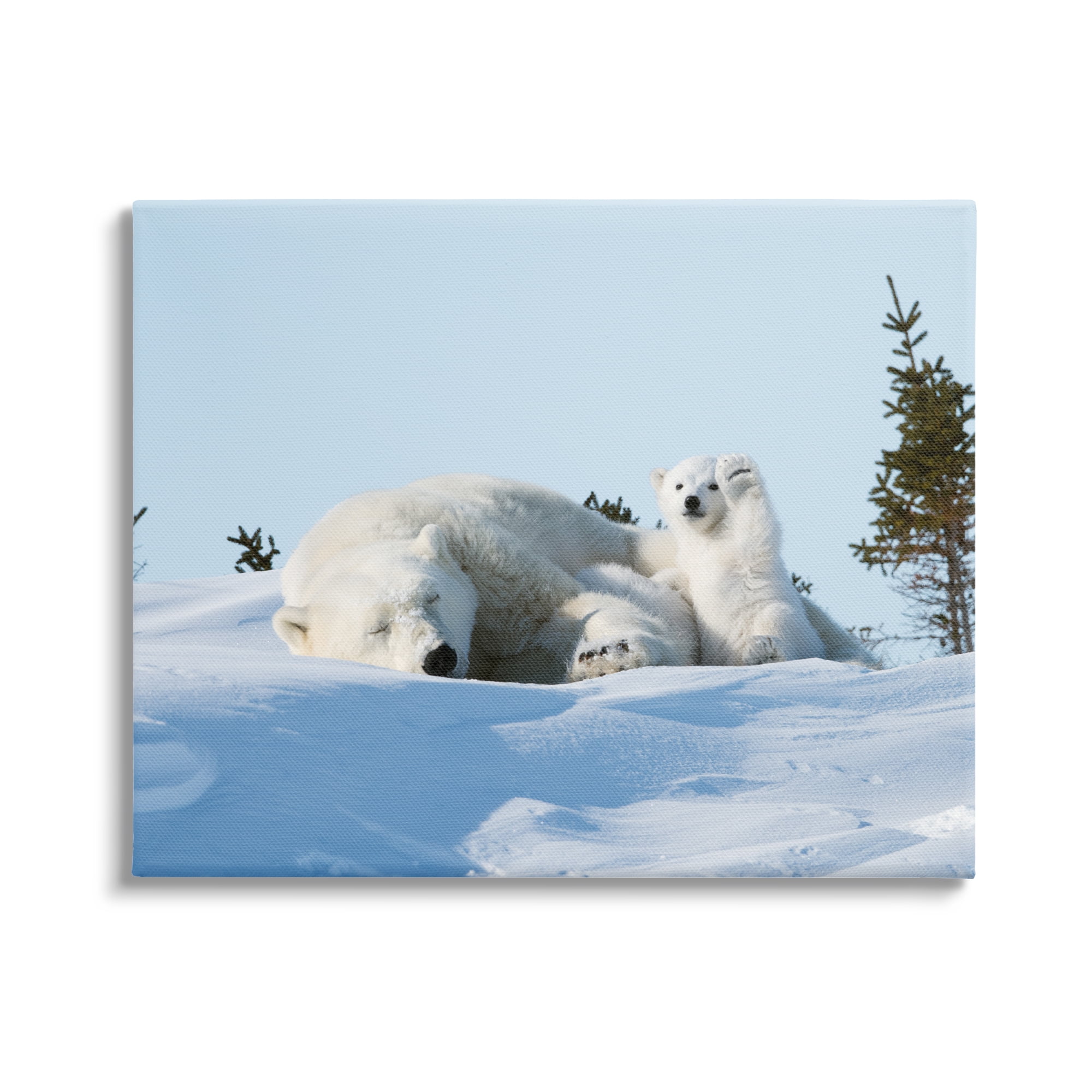 Stupell Industries Polar Bear Cub with Mom Animals & Insects Photography Gallery Wrapped Canvas Art Print Wall Art, 48 x 36