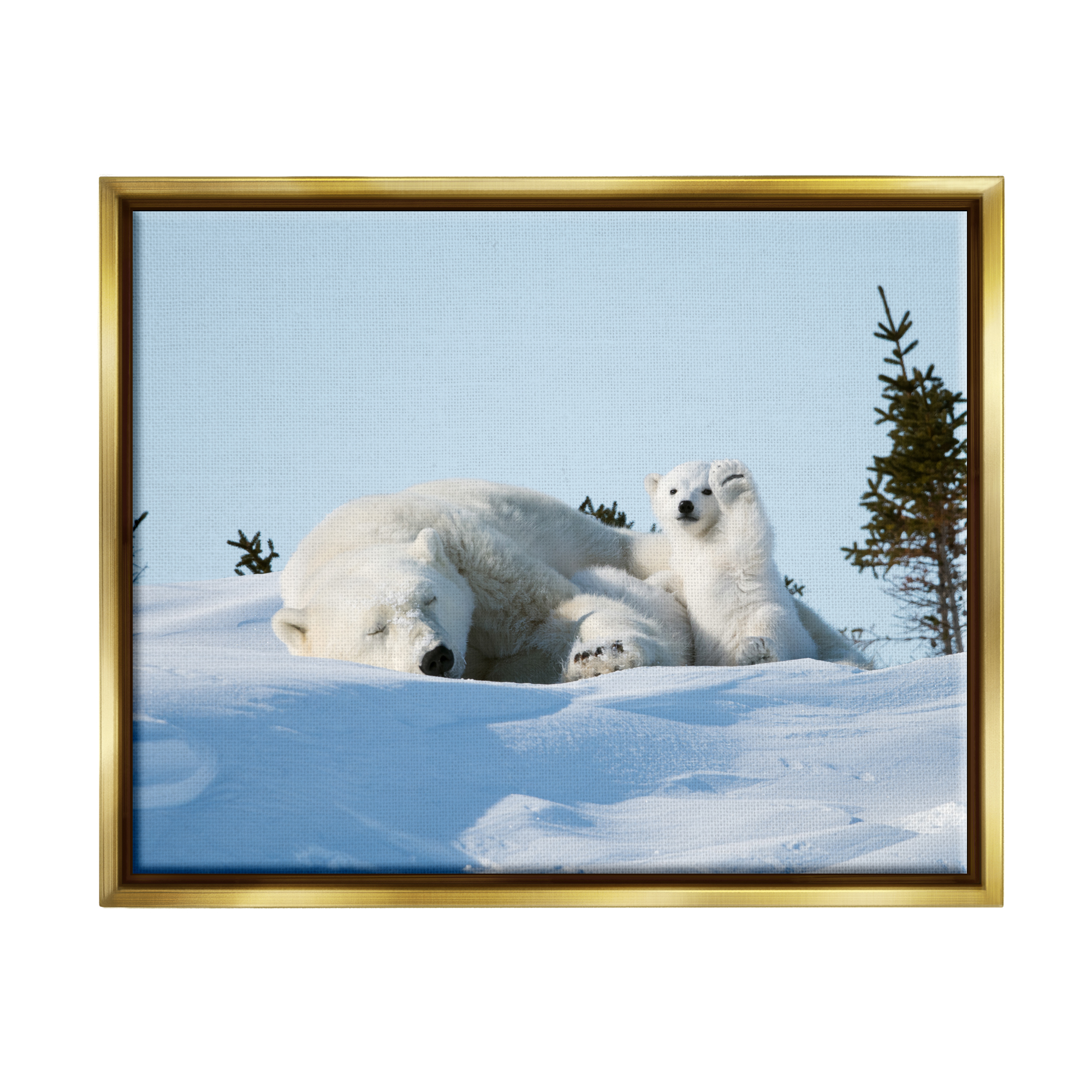 Stupell Industries Polar Bear Cub with Mom Animals & Insects Photography Gold Floater Framed Canvas Art Print Wall Art, 31 x 25