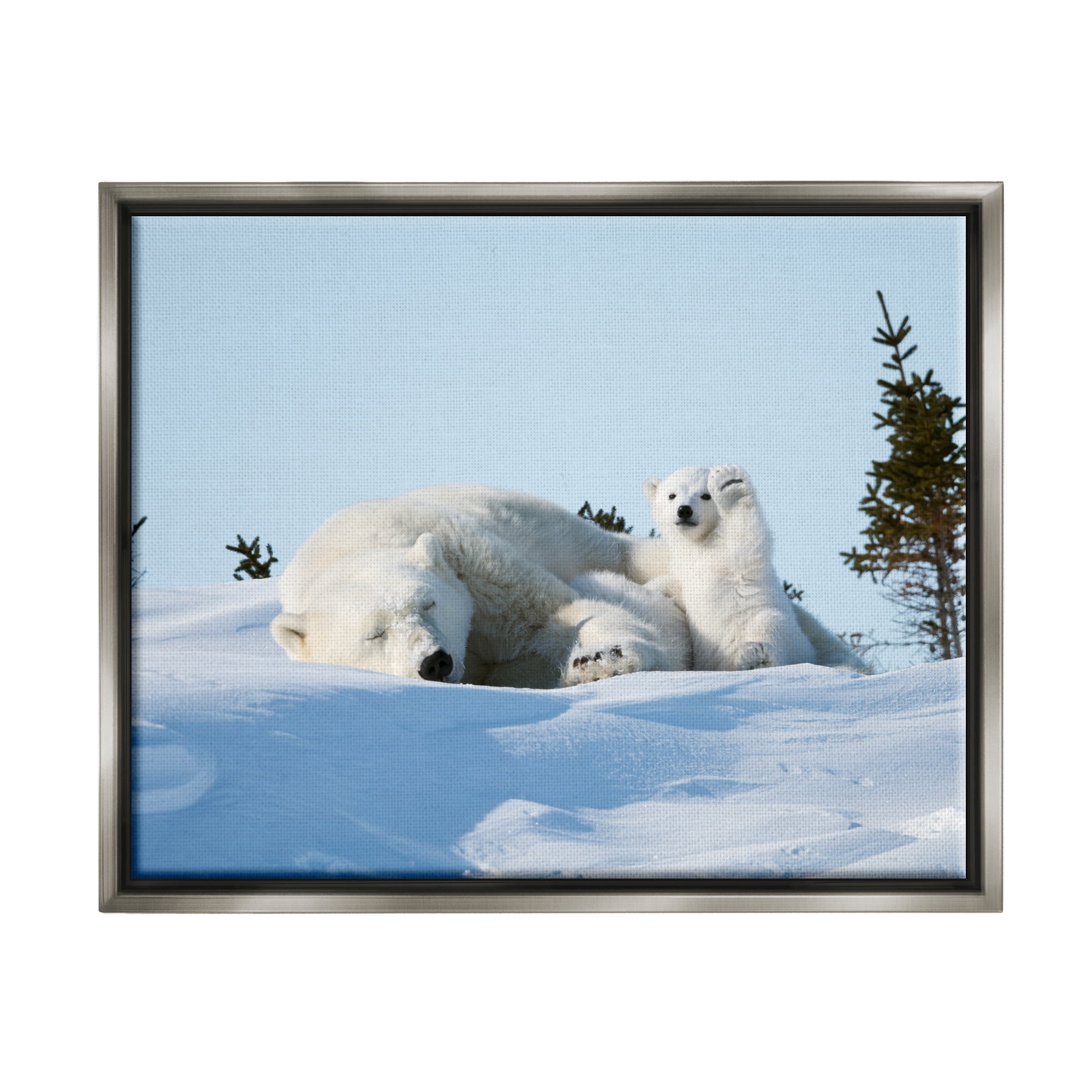 Stupell Industries Polar Bear Cub with Mom Animals & Insects Photography Gray Floater Framed Canvas Art Print Wall Art, 31 x 25
