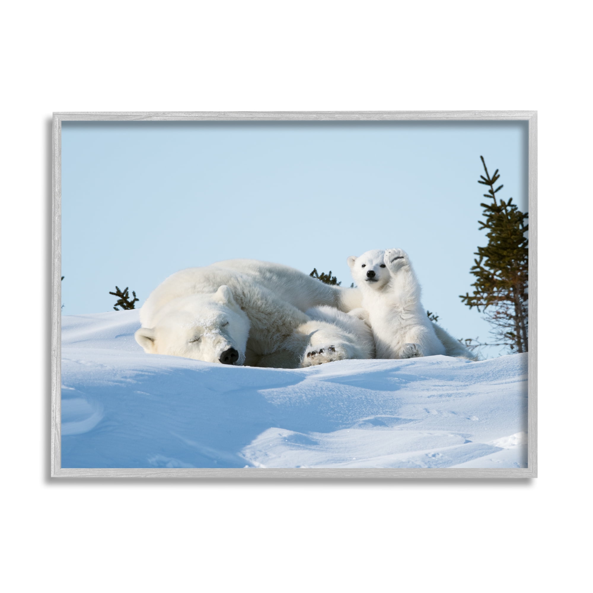 Stupell Industries Polar Bear Cub with Mom Animals & Insects Photography Gray Framed Art Print Wall Art, 30 x 24