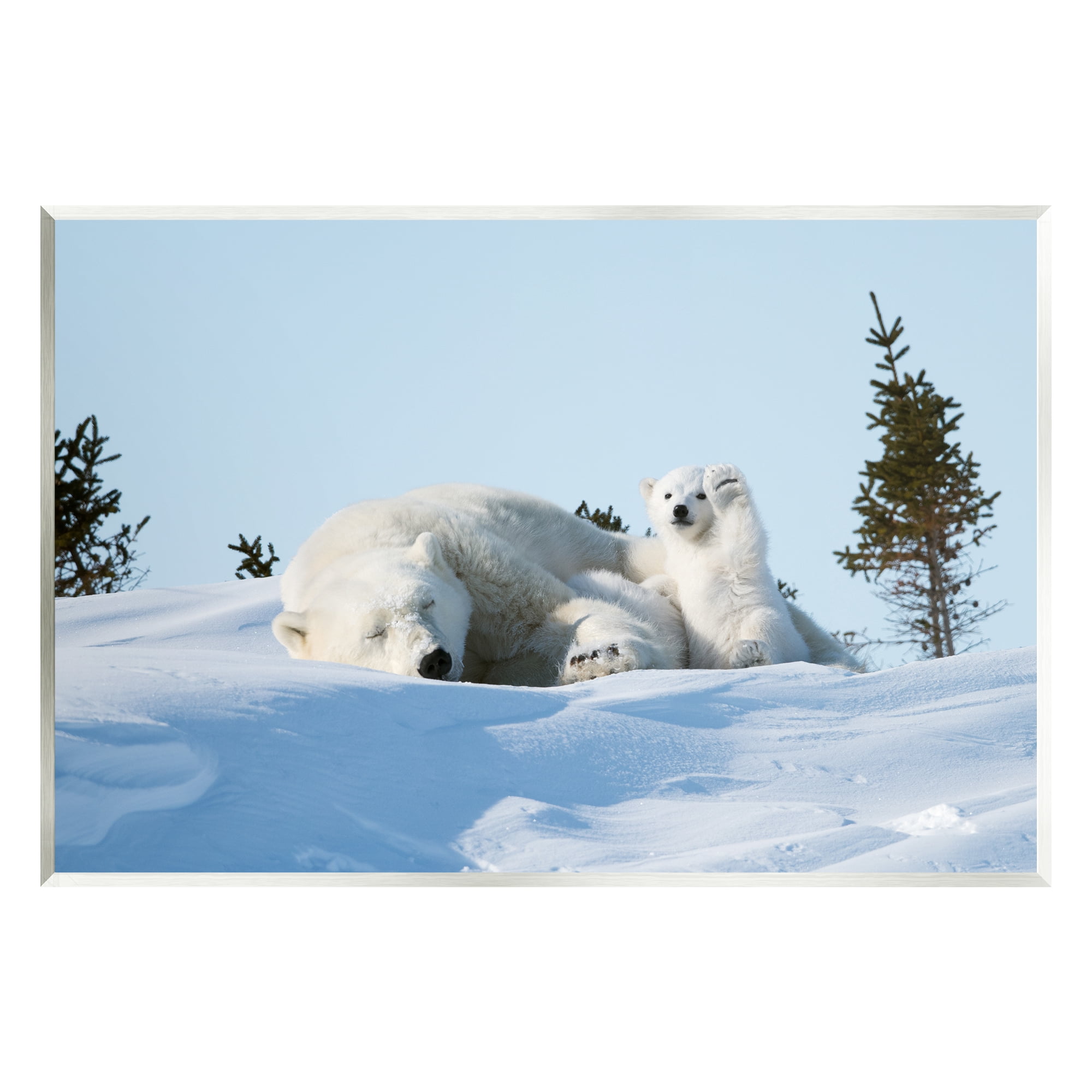 Stupell Industries Polar Bear Cub with Mom Animals & Insects Photography Unframed Art Print Wall Art, 19 x 13