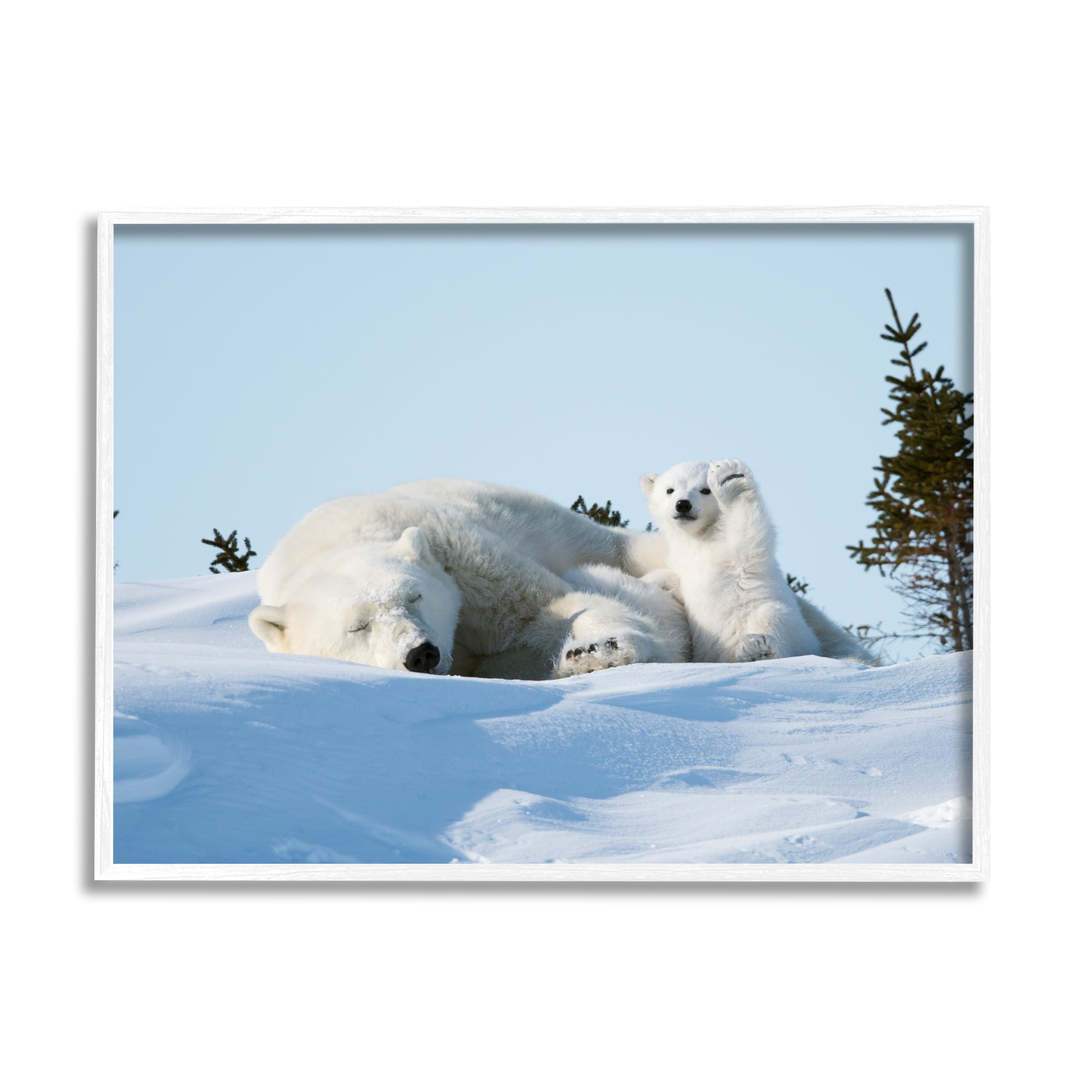 Stupell Industries Polar Bear Cub with Mom Animals & Insects Photography White Framed Art Print Wall Art, 14 x 11