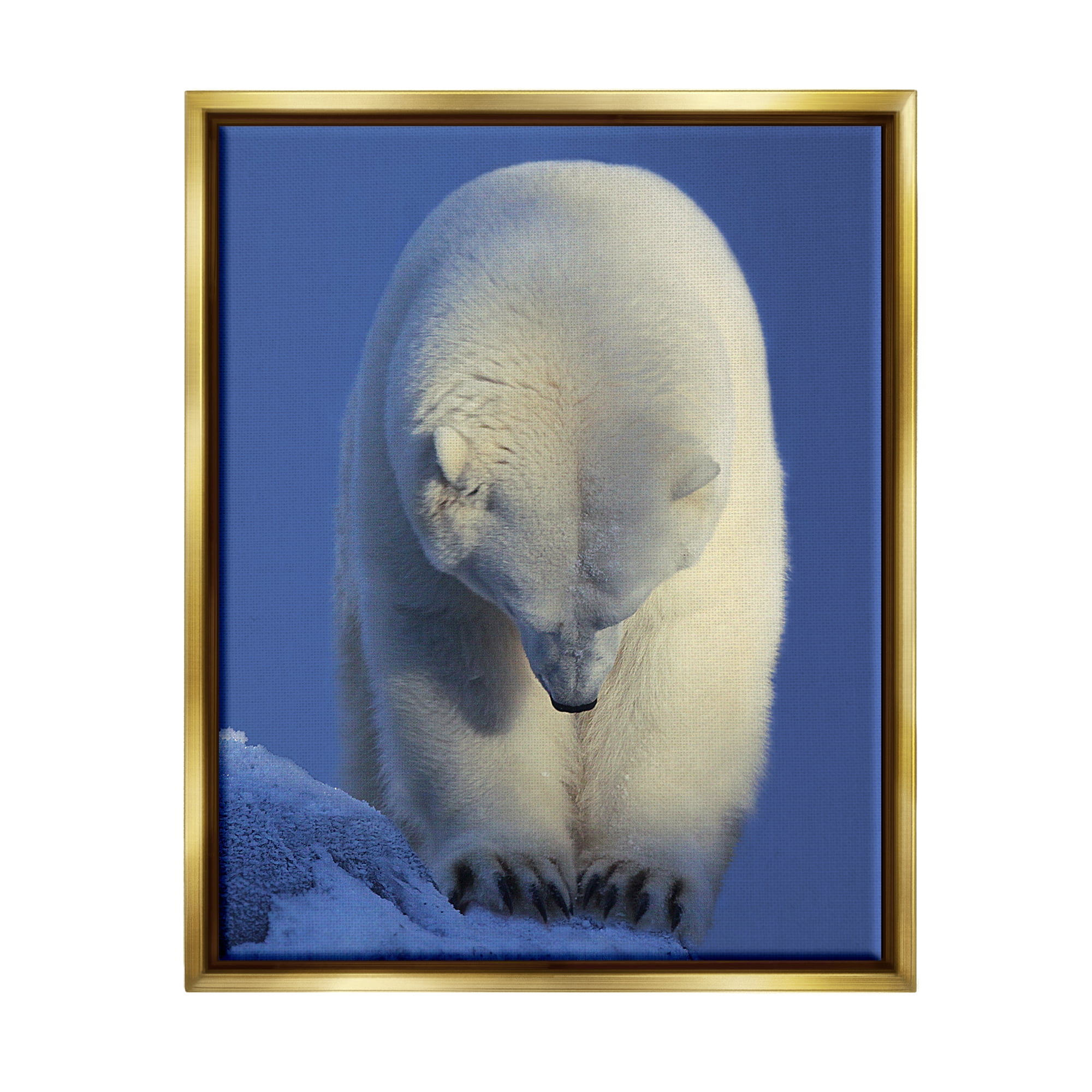 Stupell Industries Polar Bear Photography Animals & Insects Photography Gold Floater Framed Art Print Wall Art, 25 x 31