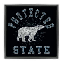 Stupell Industries Polar Bear Protected State Animals Painting Black Floater Framed Canvas Art Print Wall Art, 18 x 18