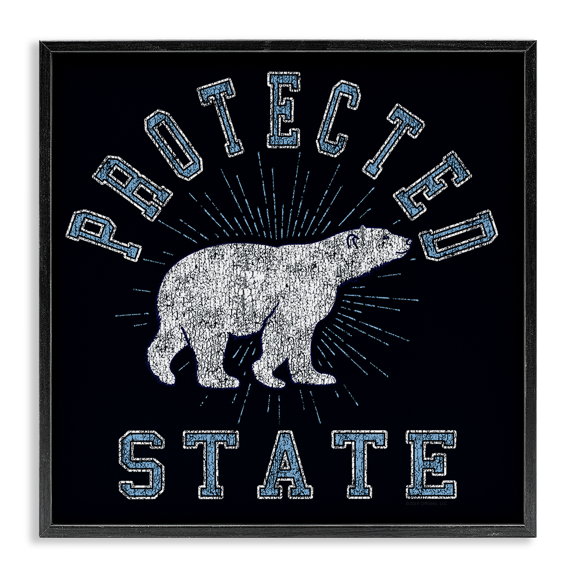 Stupell Industries Polar Bear Protected State Animals Painting Black Framed Art Print Wall Art, 12 x 12
