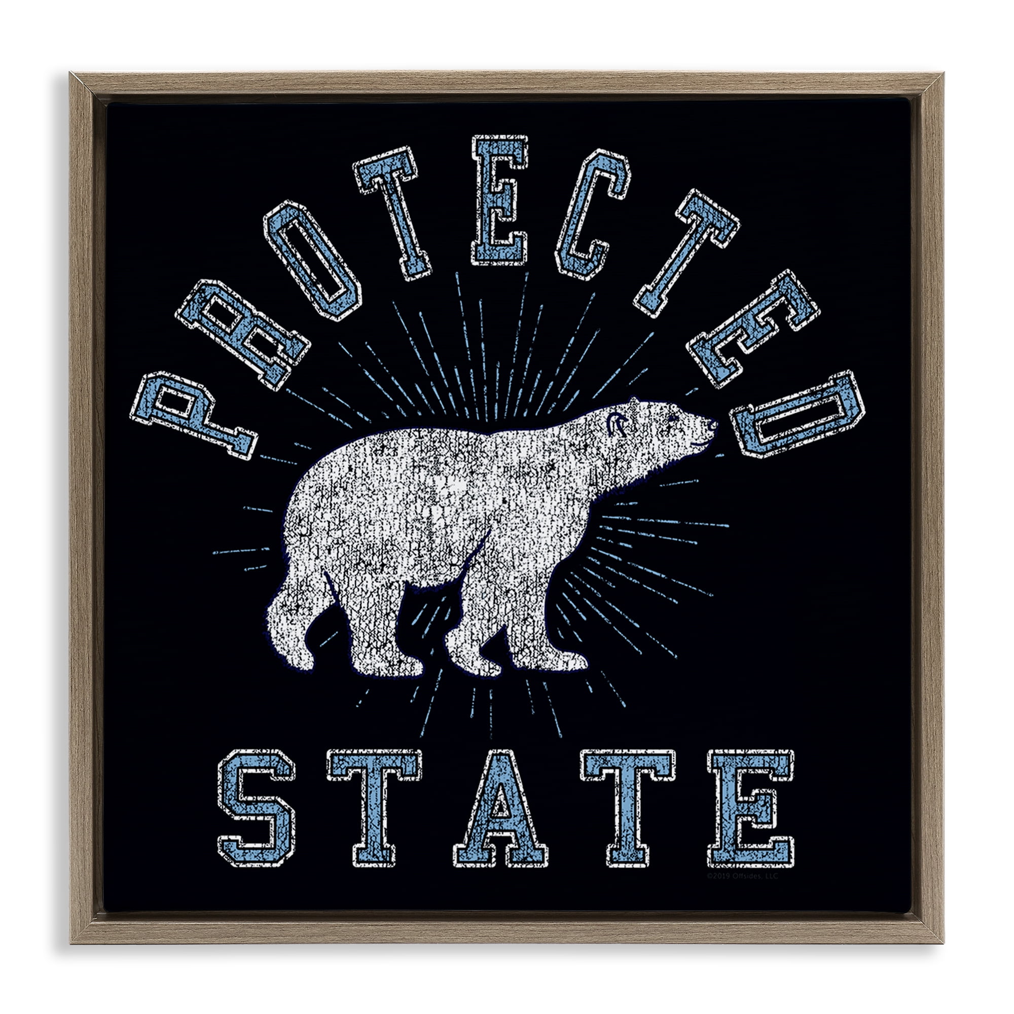 Stupell Industries Polar Bear Protected State Animals Painting Brown Floater Framed Canvas Art Print Wall Art, 18 x 18