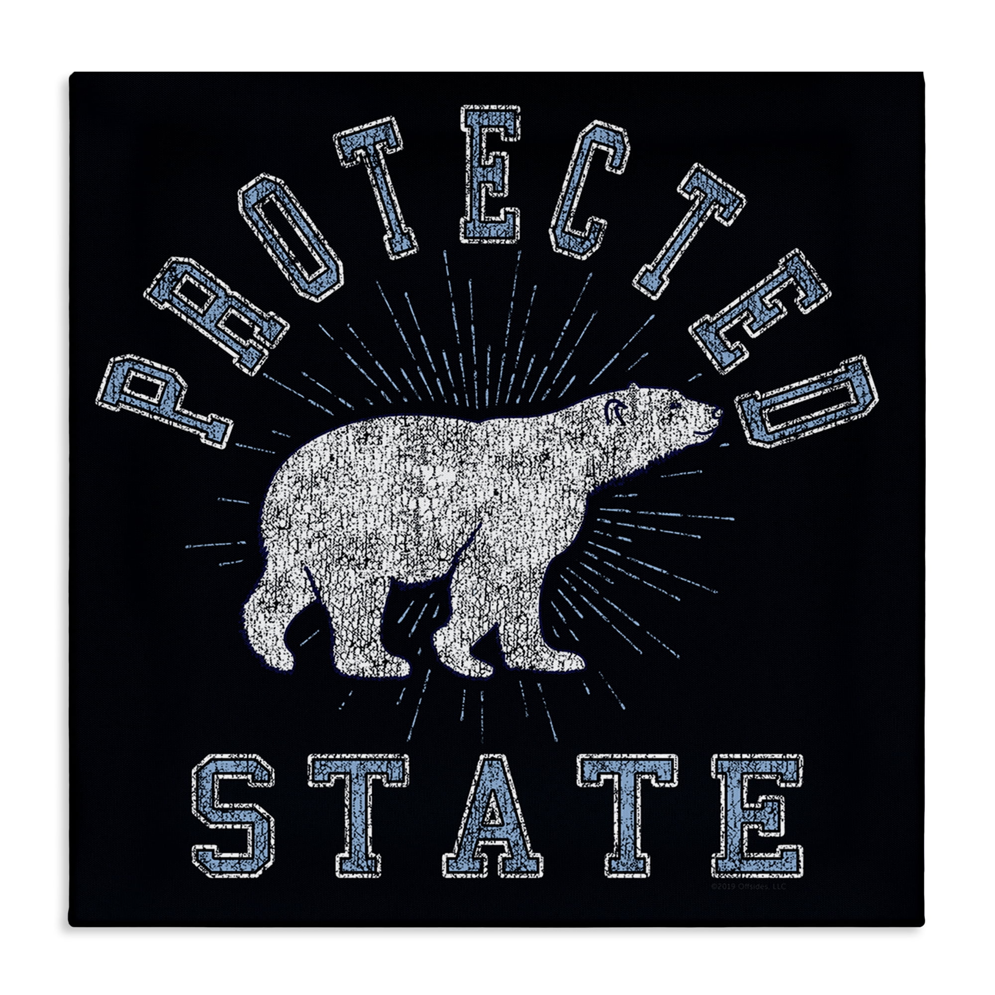 Stupell Industries Polar Bear Protected State Animals Painting Wrapped Canvas Art Print Wall Art, 24 x 24
