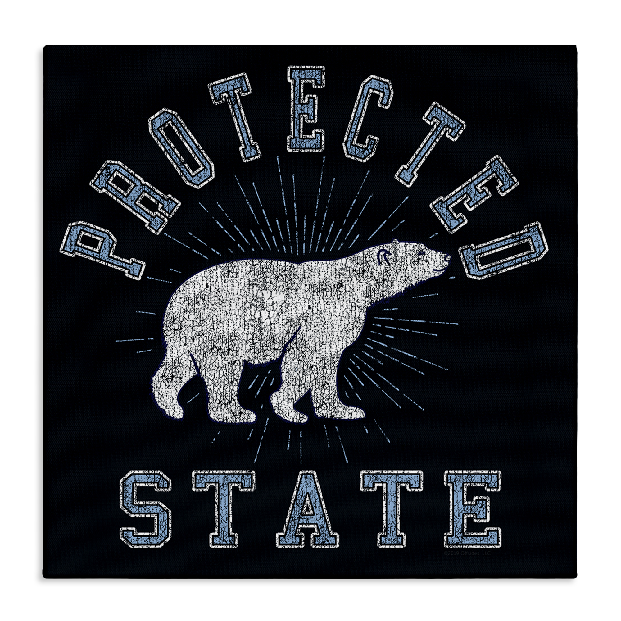 Stupell Industries Polar Bear Protected State Animals Painting Wrapped Canvas Art Print Wall Art, 30 x 30