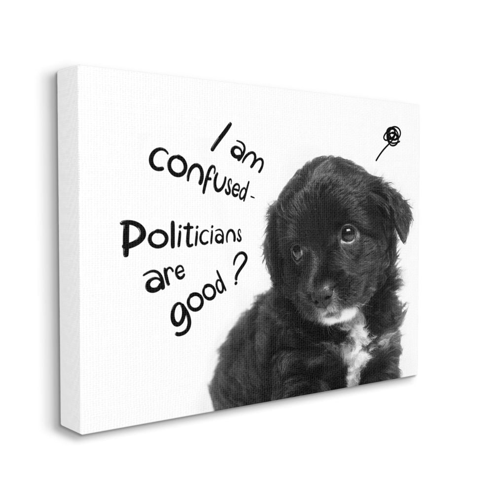 Stupell Industries Politicians Are Good Question Cute Puppy Political Humor Canvas Wall Art Design by Ziwei Li