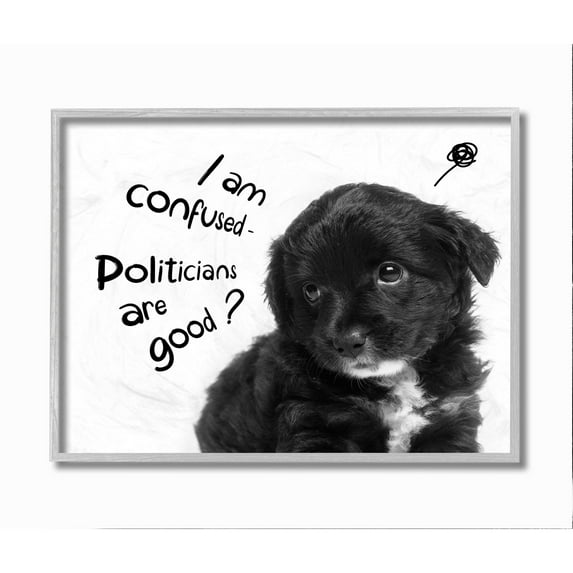 Stupell Industries Politicians Are Good Question Cute Puppy Political Humor Framed Wall Art Design by Ziwei Li, 11" x 14", Gray Framed
