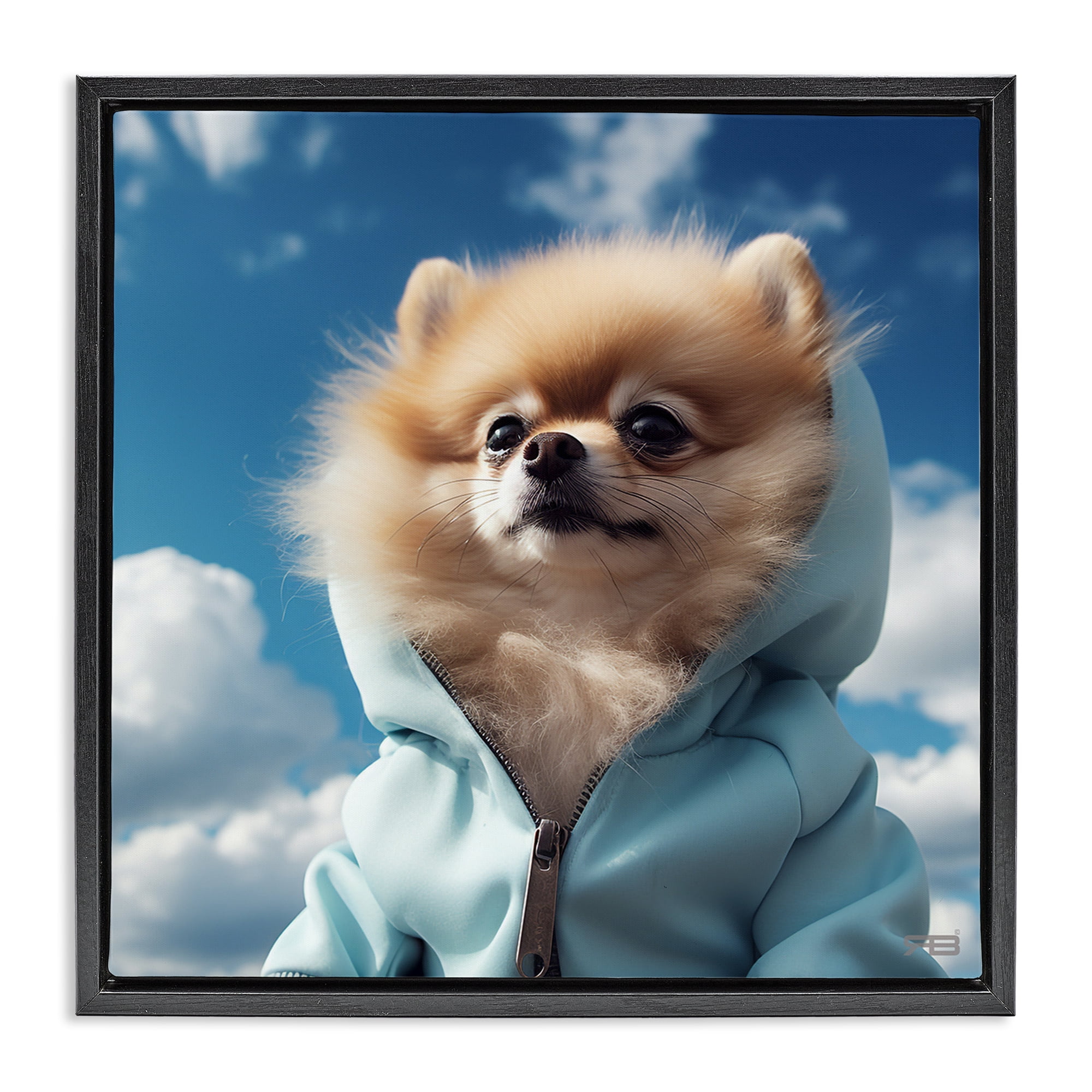 Stupell Industries Pomeranian Dog & Clouds Animals & Insects Painting Black Floater Framed Canvas Art Print Wall Art, 25 x 25