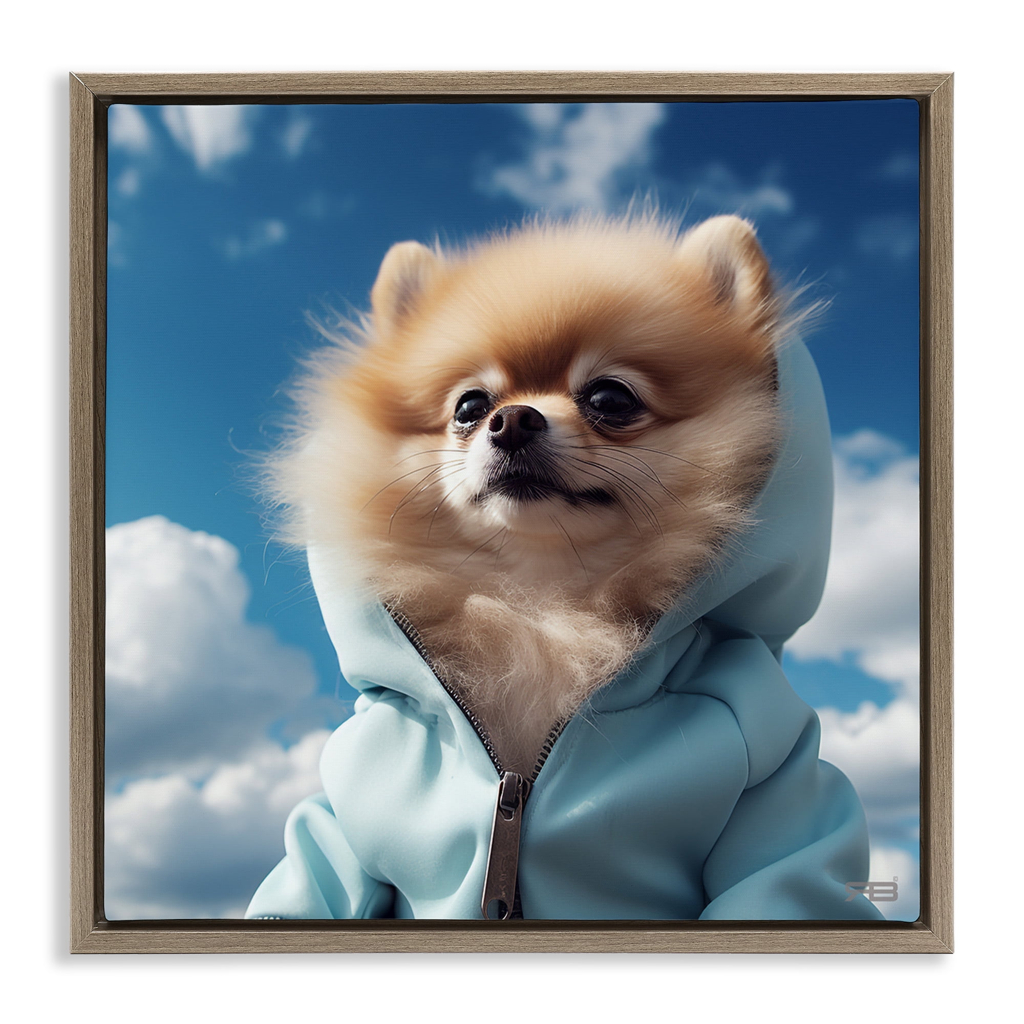 Stupell Industries Pomeranian Dog & Clouds Animals & Insects Painting Brown Floater Framed Canvas Art Print Wall Art, 25 x 25