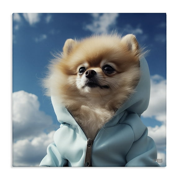 Stupell Industries Pomeranian Dog & Clouds Animals & Insects Painting Gallery Wrapped Canvas Art Print Wall Art, 17 x 17