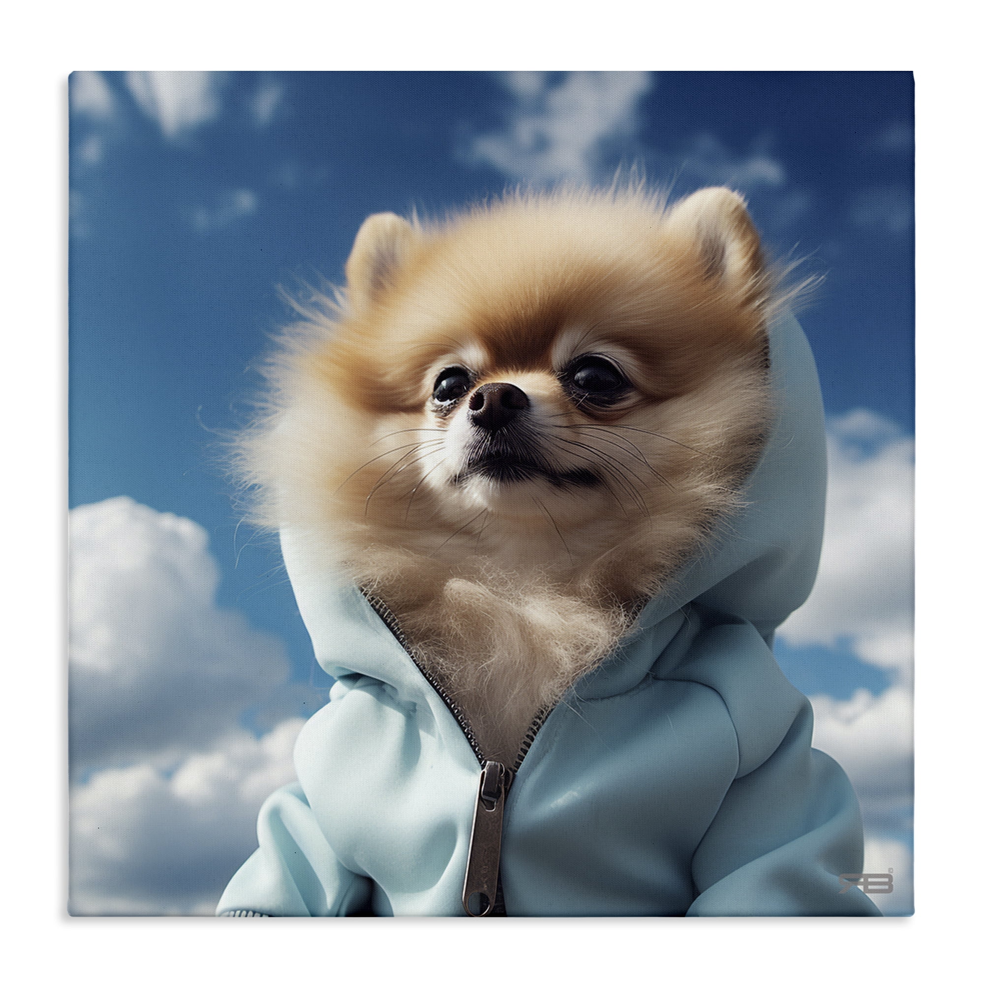 Stupell Industries Pomeranian Dog & Clouds Animals & Insects Painting Gallery Wrapped Canvas Art Print Wall Art, 24 x 24