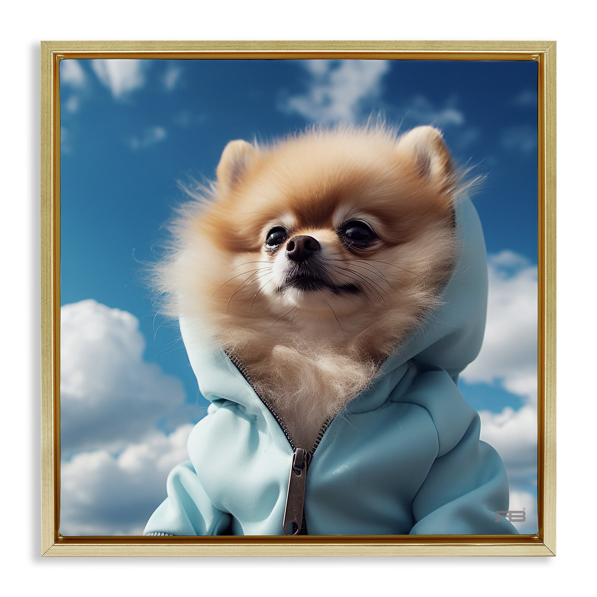 Stupell Industries Pomeranian Dog & Clouds Animals & Insects Painting Gold Floater Framed Canvas Art Print Wall Art, 25 x 25