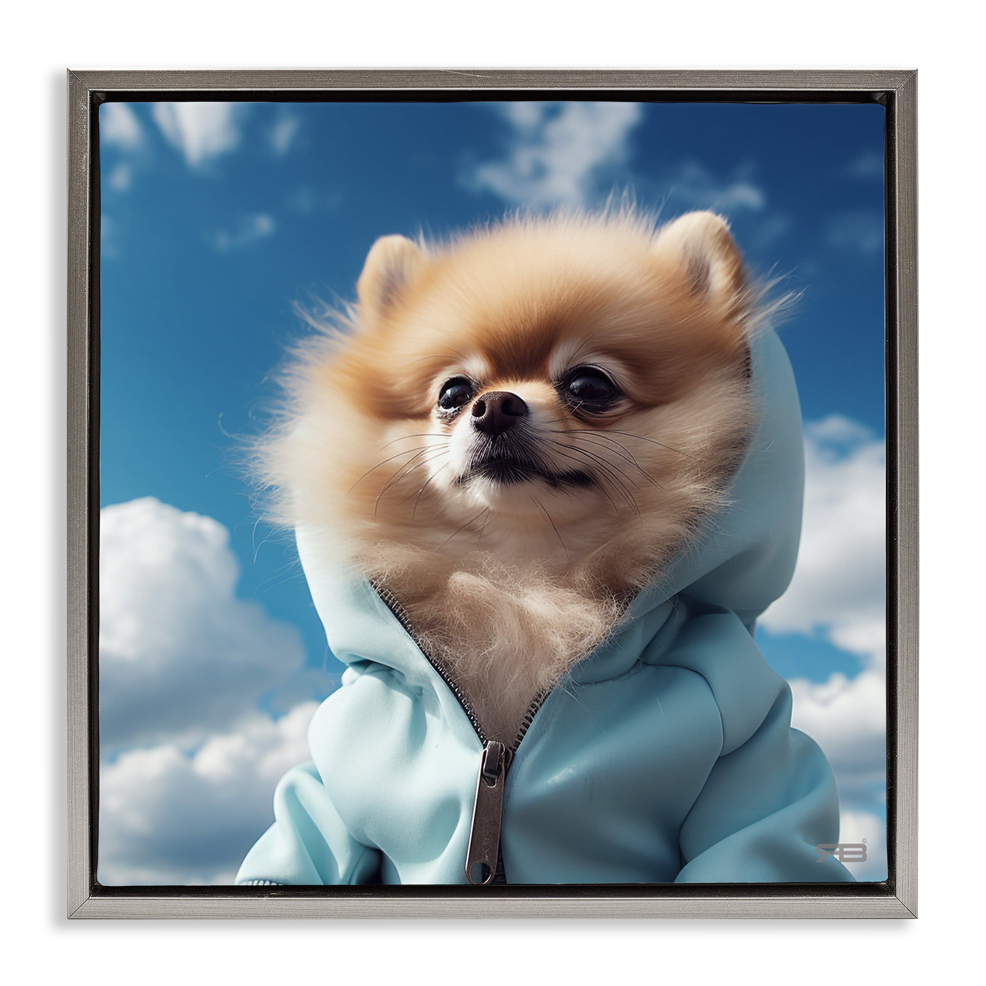Stupell Industries Pomeranian Dog & Clouds Animals & Insects Painting Gray Floater Framed Canvas Art Print Wall Art, 25 x 25