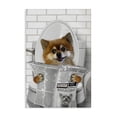 thumbnail image 1 of Stupell Industries Pomeranian Dog on Toilet Canvas Wall Art design by Matthew Piotrowicz, 30 x 20, 1 of 7
