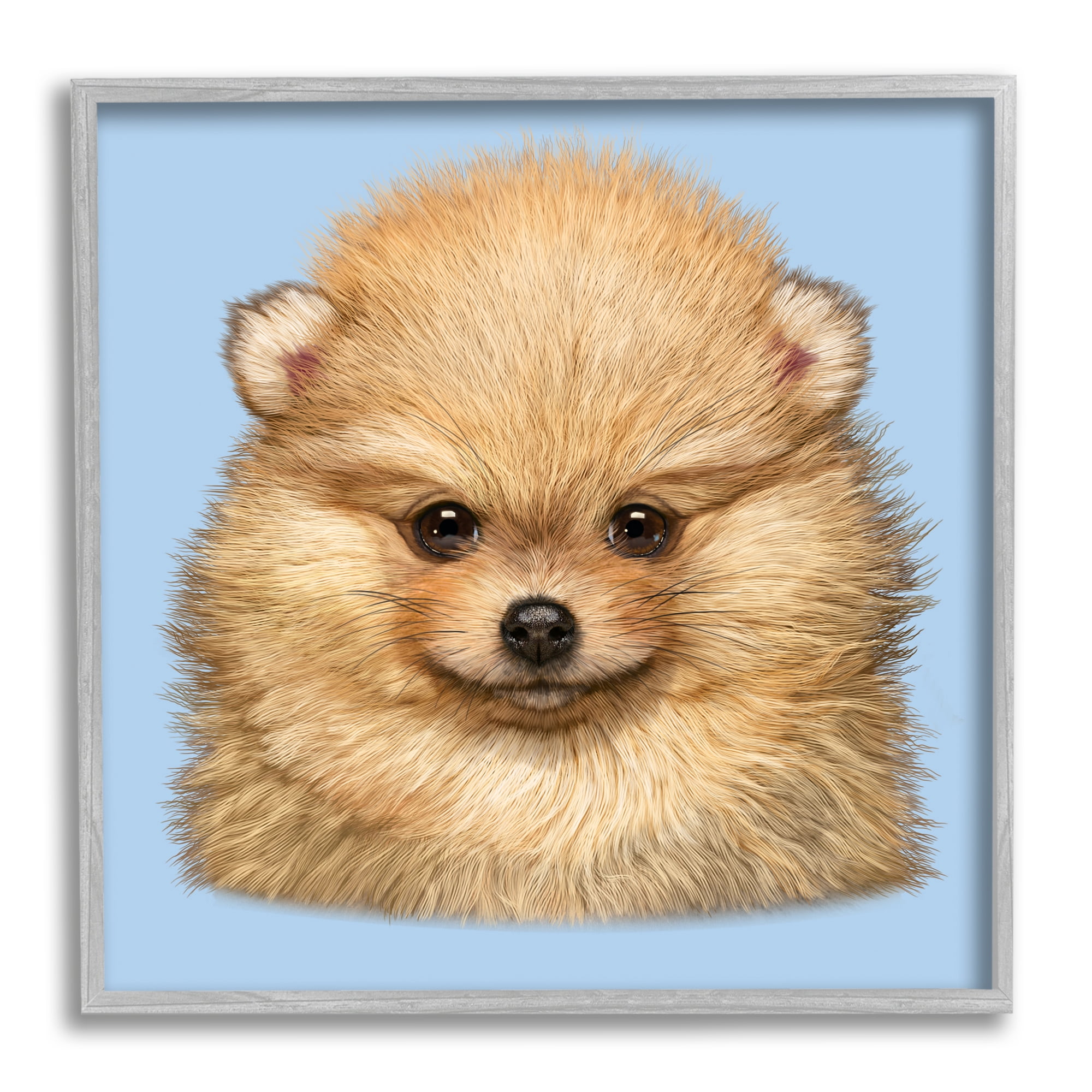 Stupell Industries Pomeranian Face on Blue Animals & Insects Painting Gray Framed Art Print Wall Art, 17 x 17