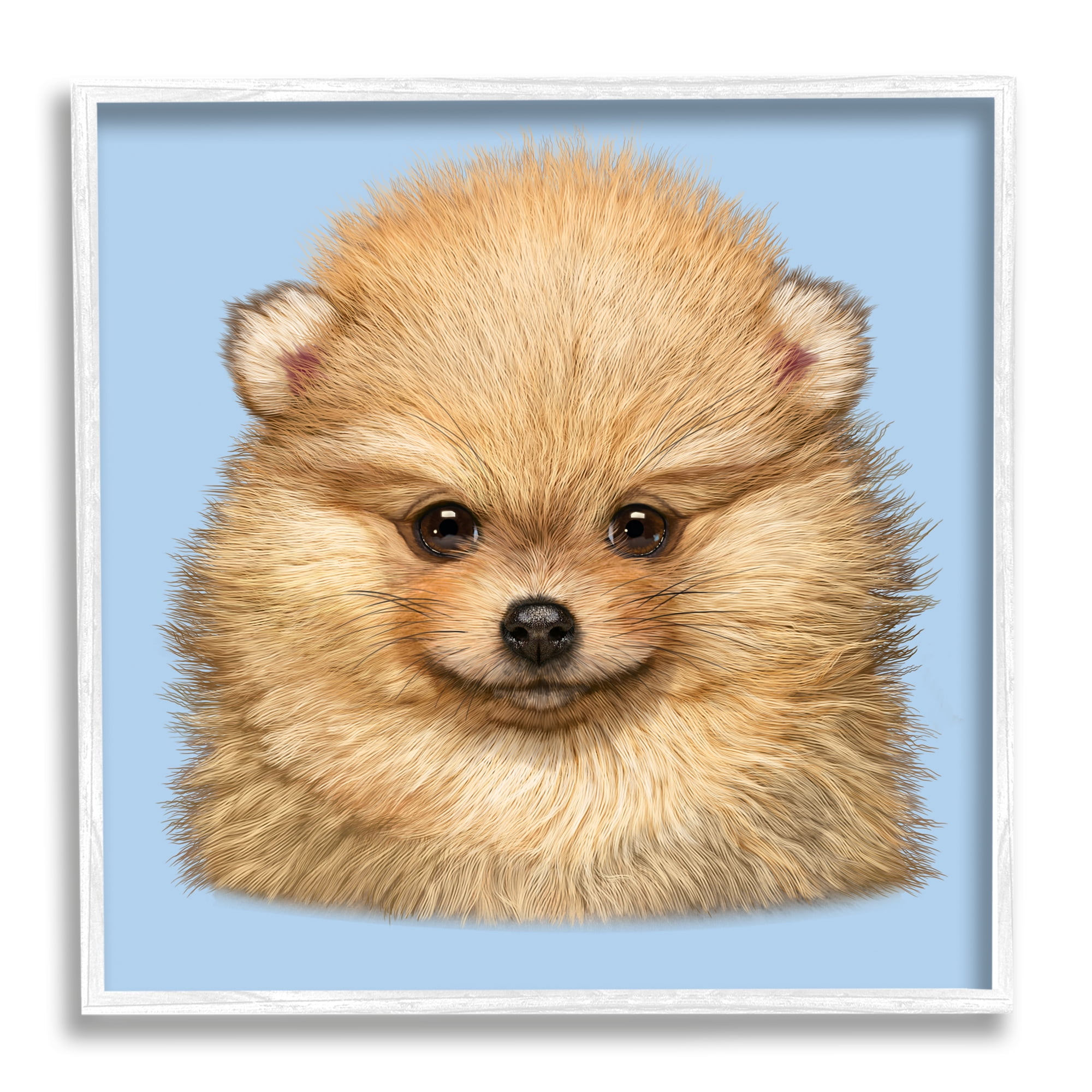 Stupell Industries Pomeranian Face on Blue Animals & Insects Painting White Framed Art Print Wall Art, 24 x 24