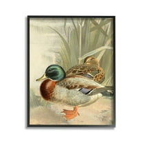 Stupell Industries Pond Ducks Relaxing Animals & Insects Painting Black Framed Art Print Wall Art, 11 x 14